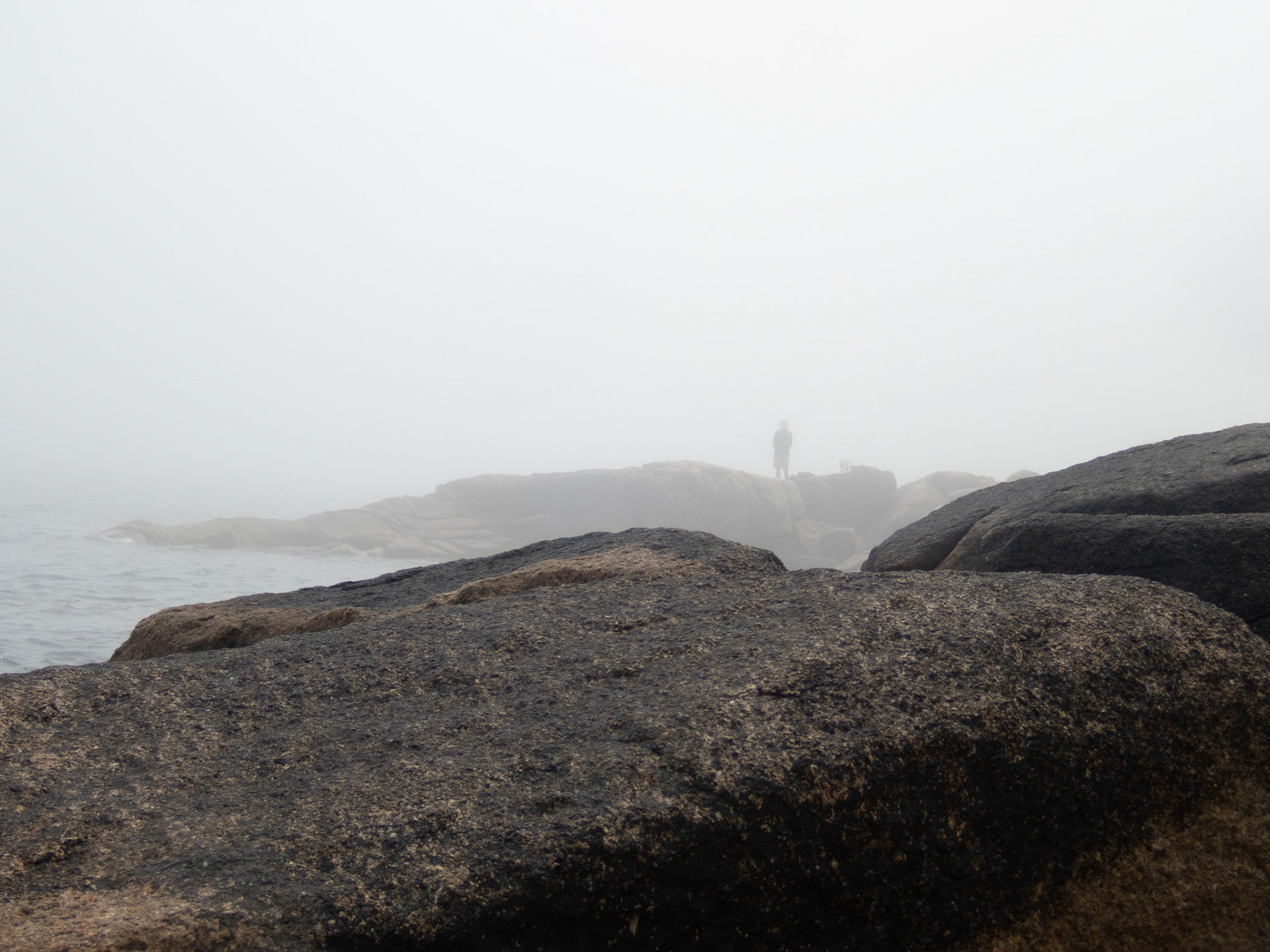Fisherman in the fog