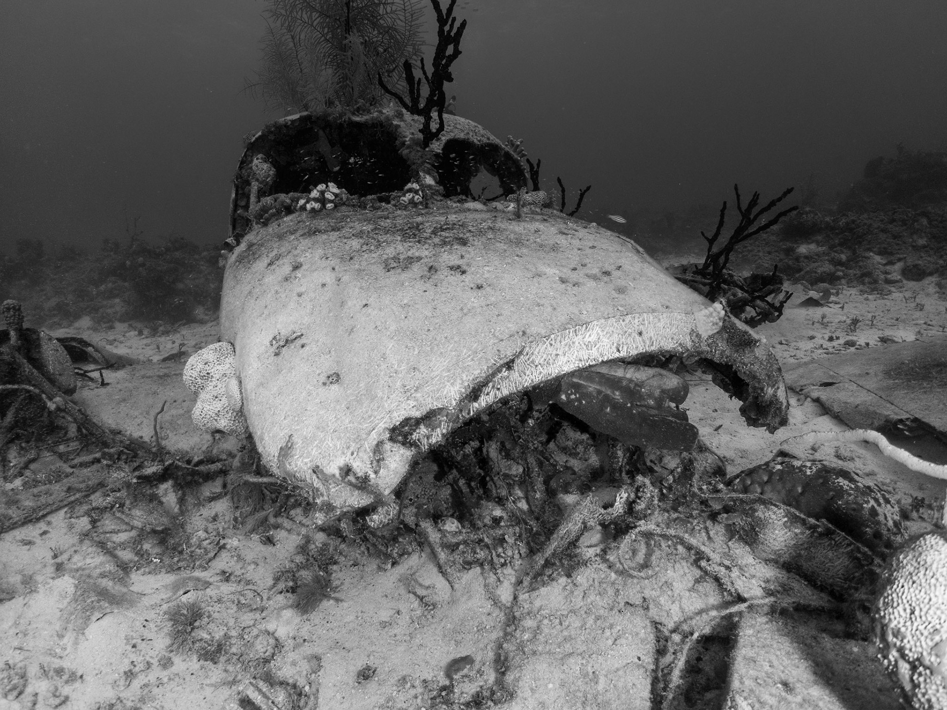 Cessna wreck