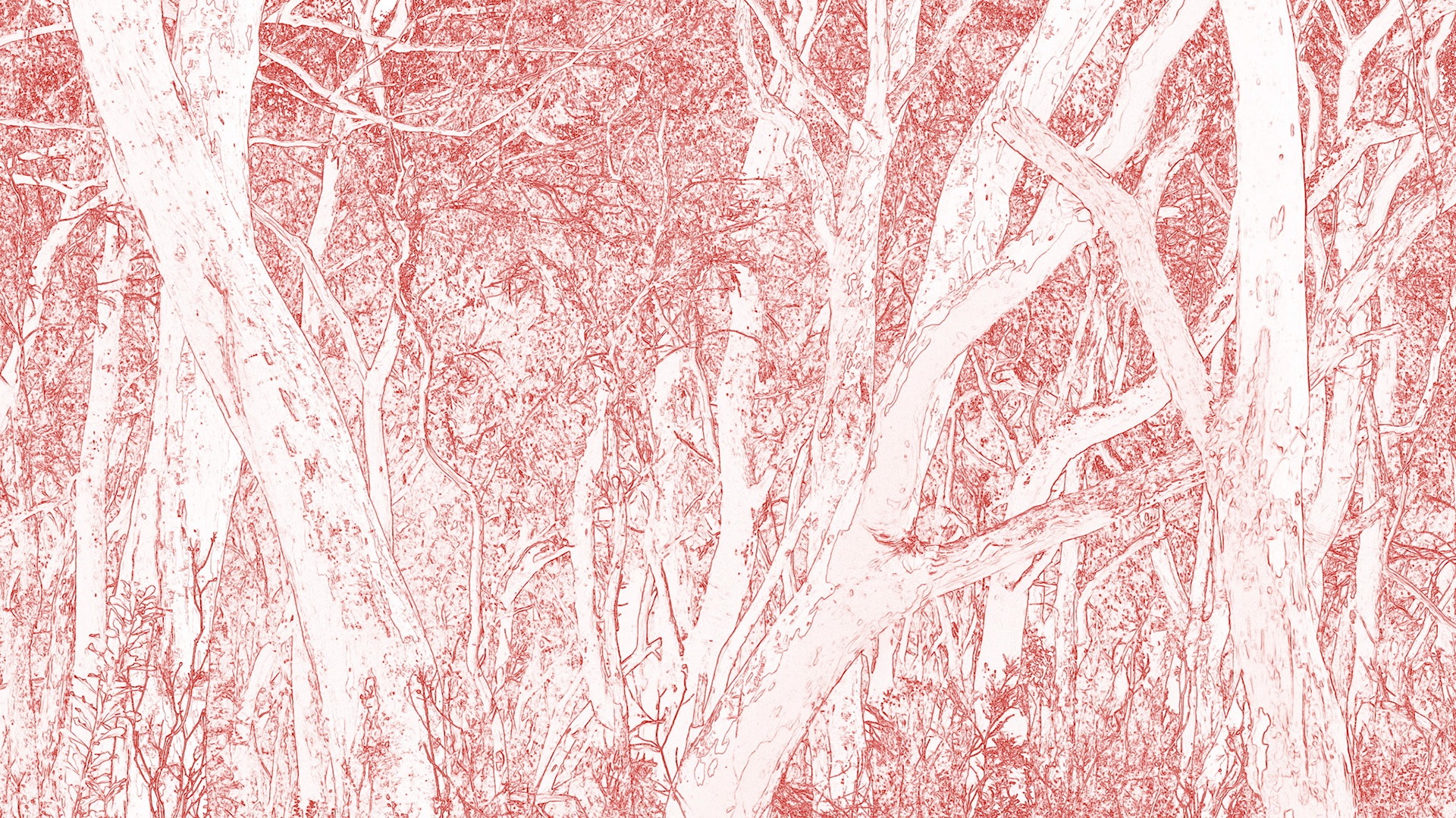 Tourist Road "Etching" No2