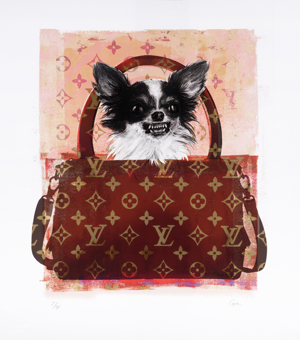 Dog in a louis vuitton dog Stock Photos and Images