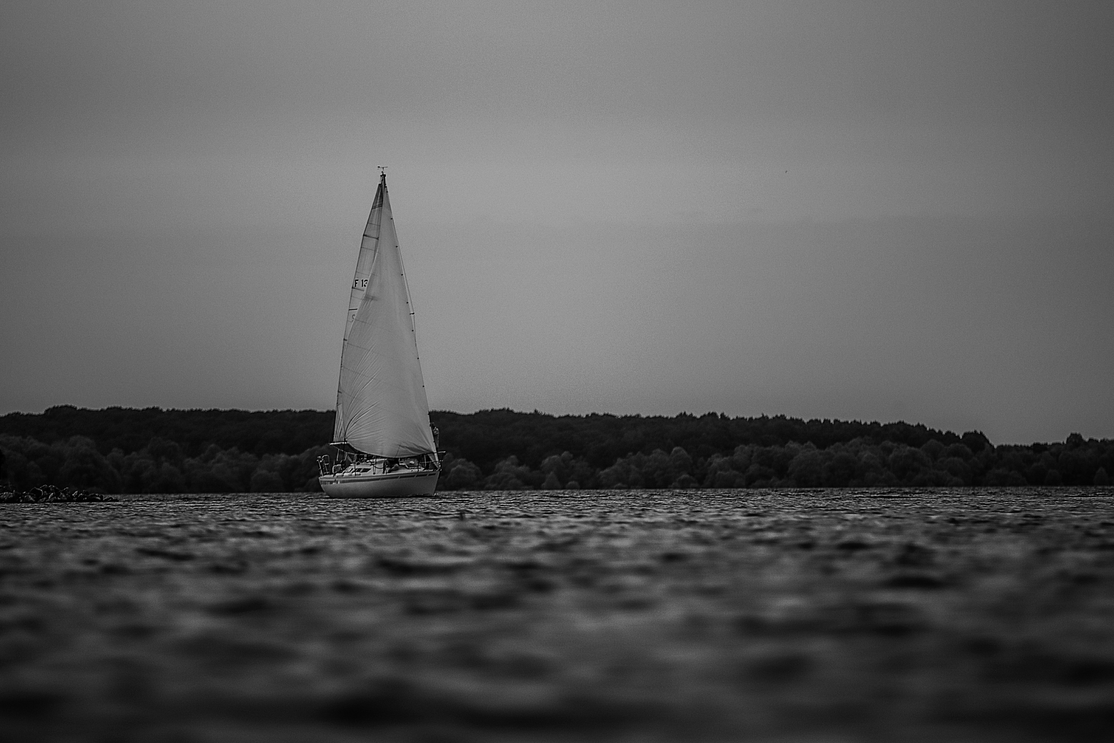 Lac de la Forêt d'Orient