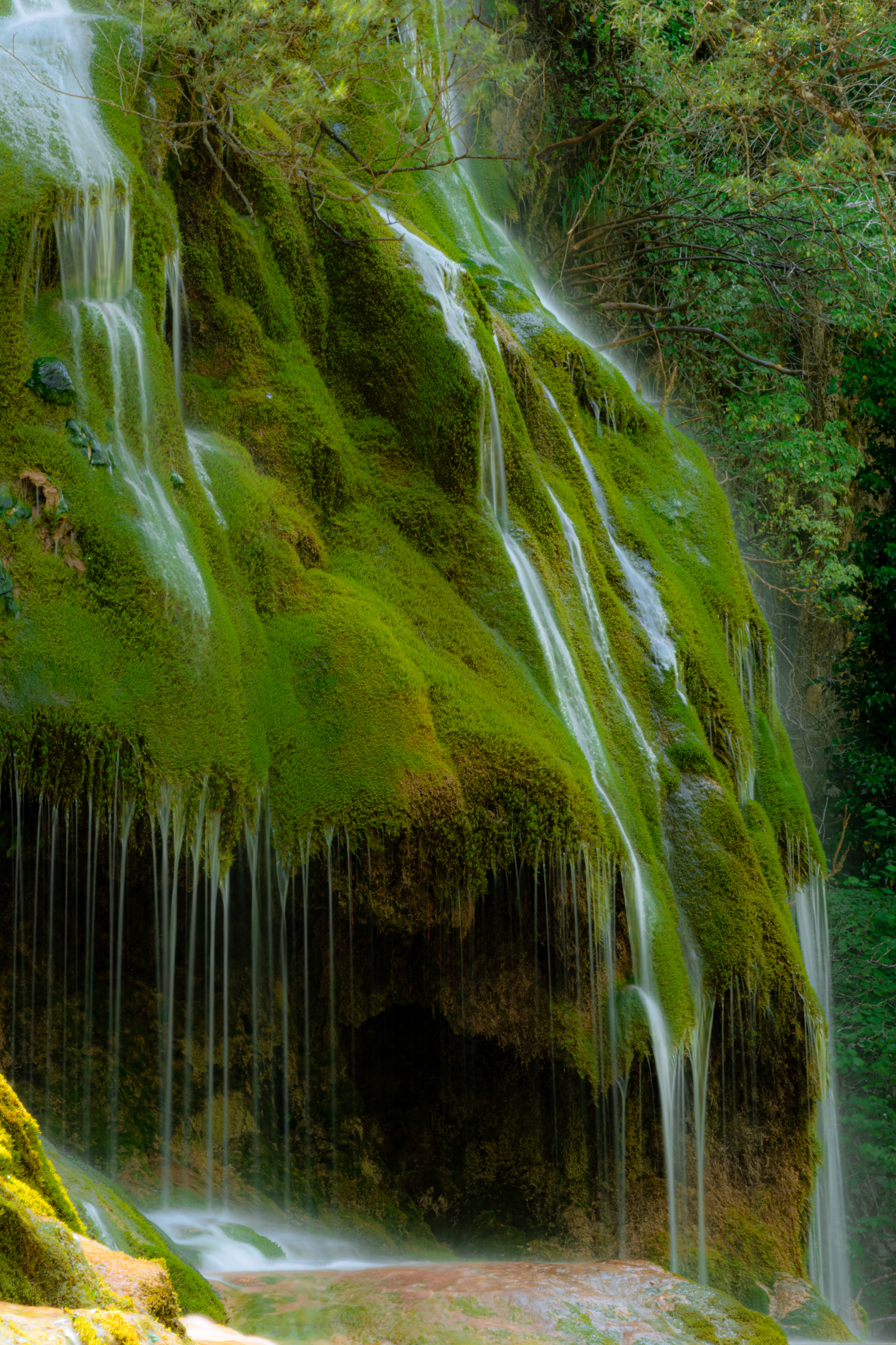 Cascade verte _ Drôme