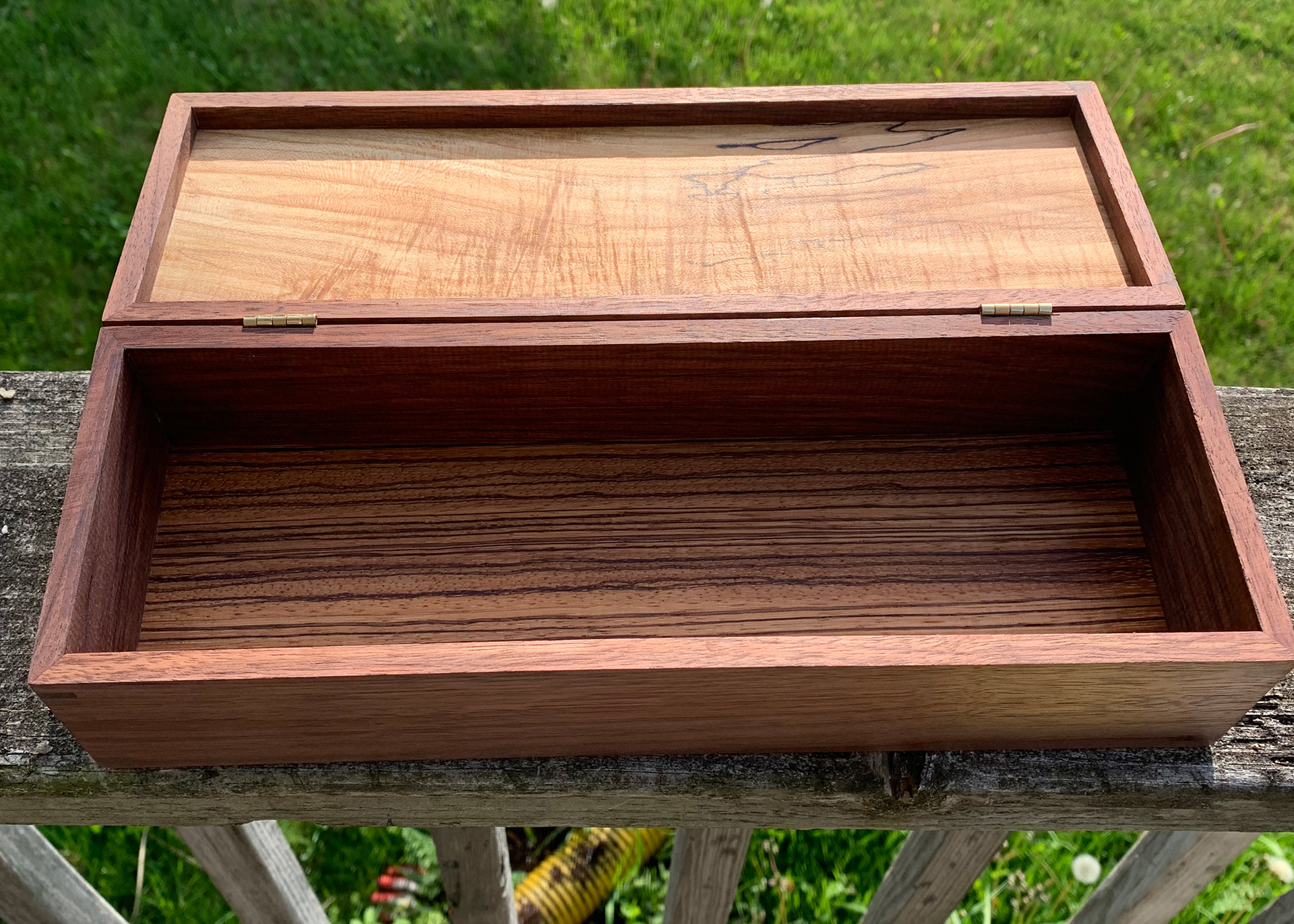 Hinged lid and zebrawood bottom