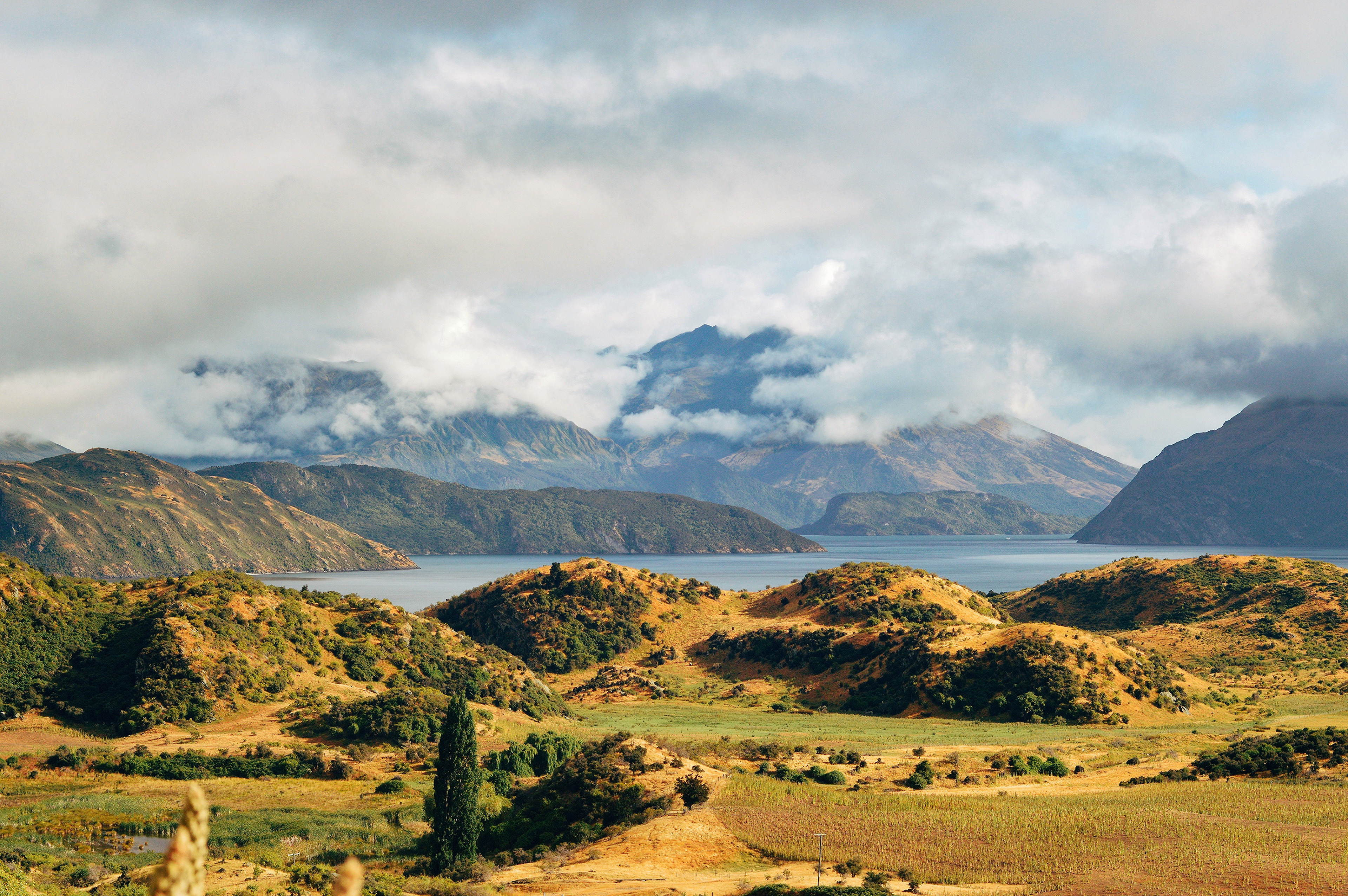 Roys Peak Route