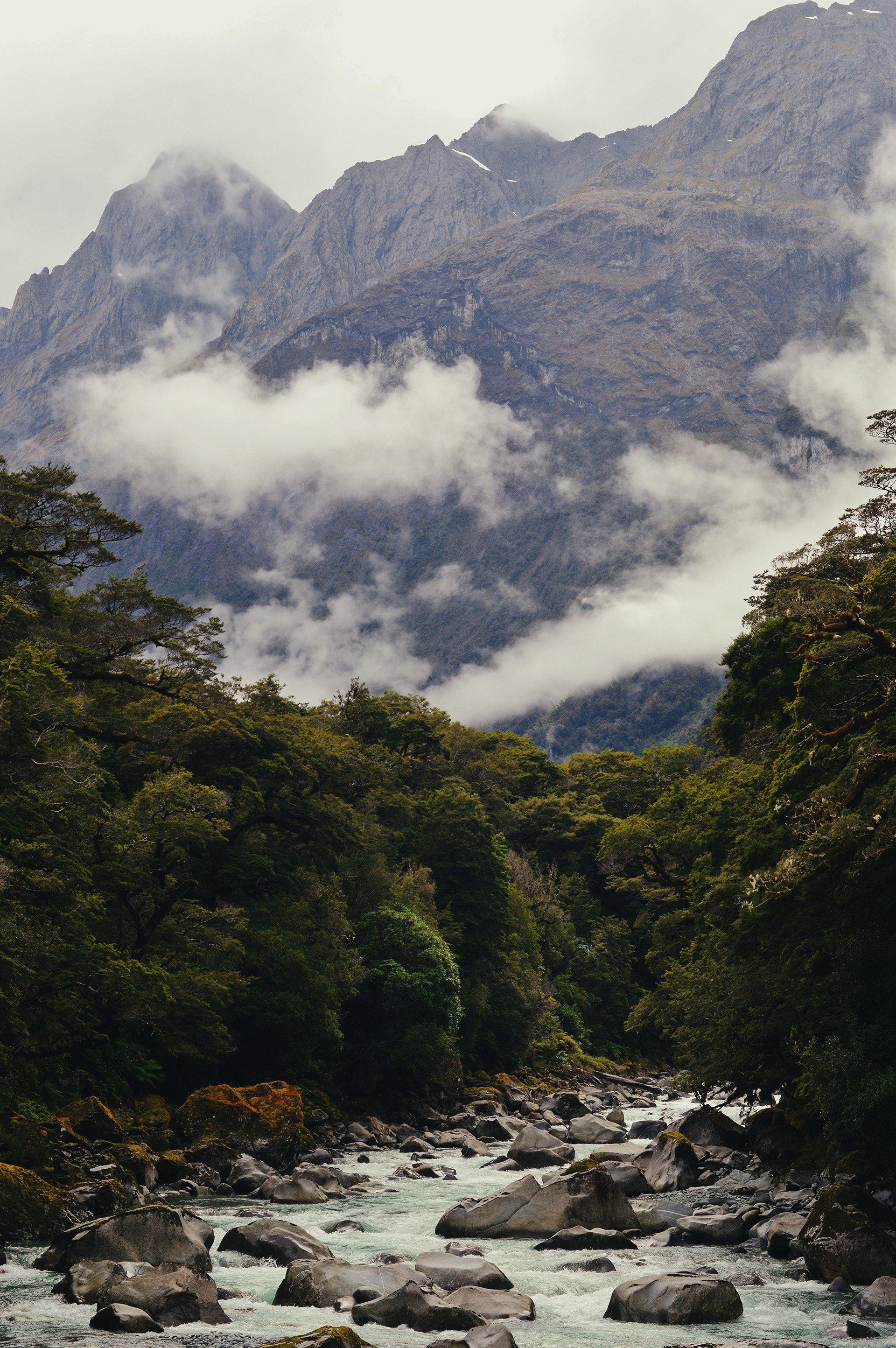 The Chasm