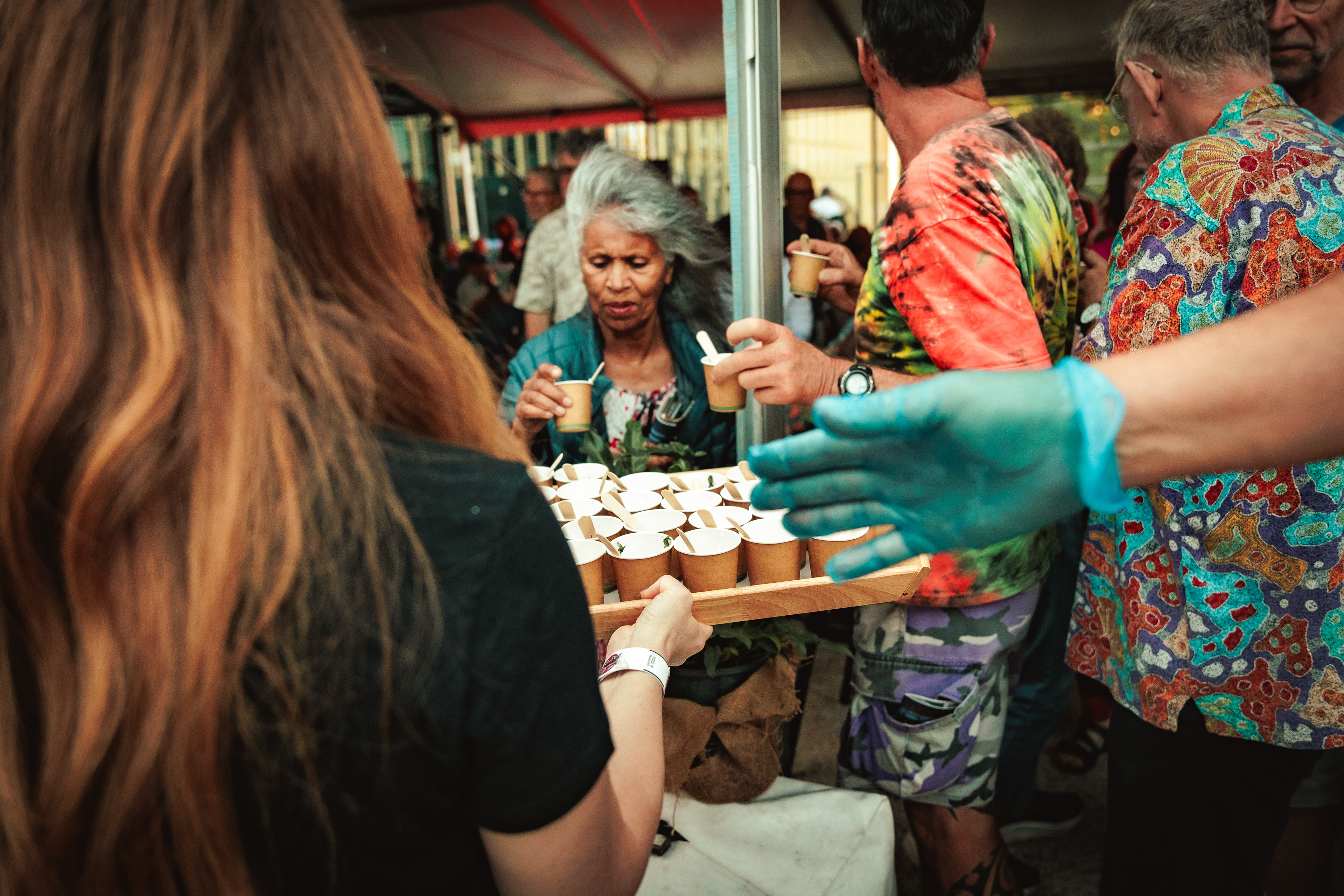 WOMADelaide