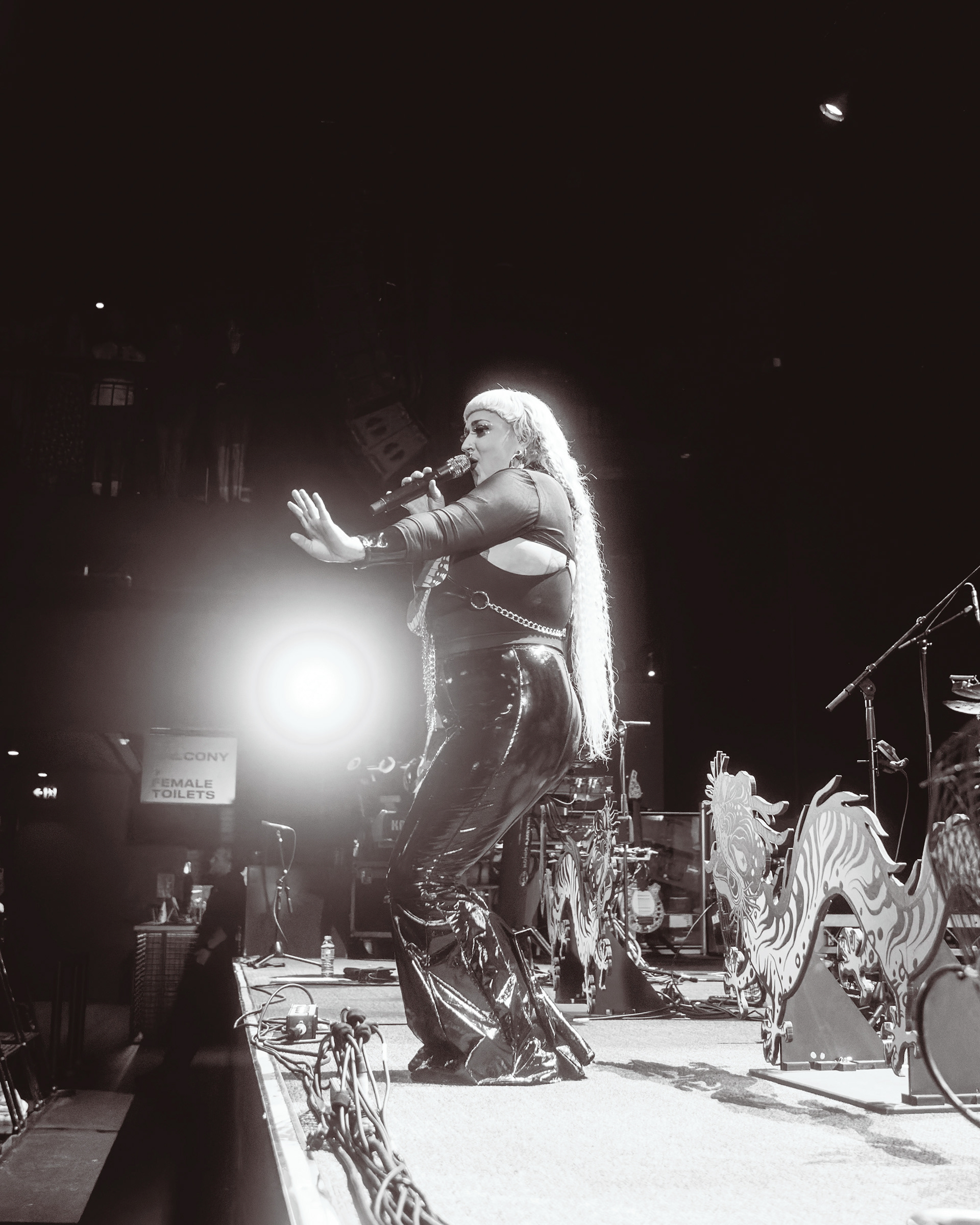 Hiatus Kaiyote