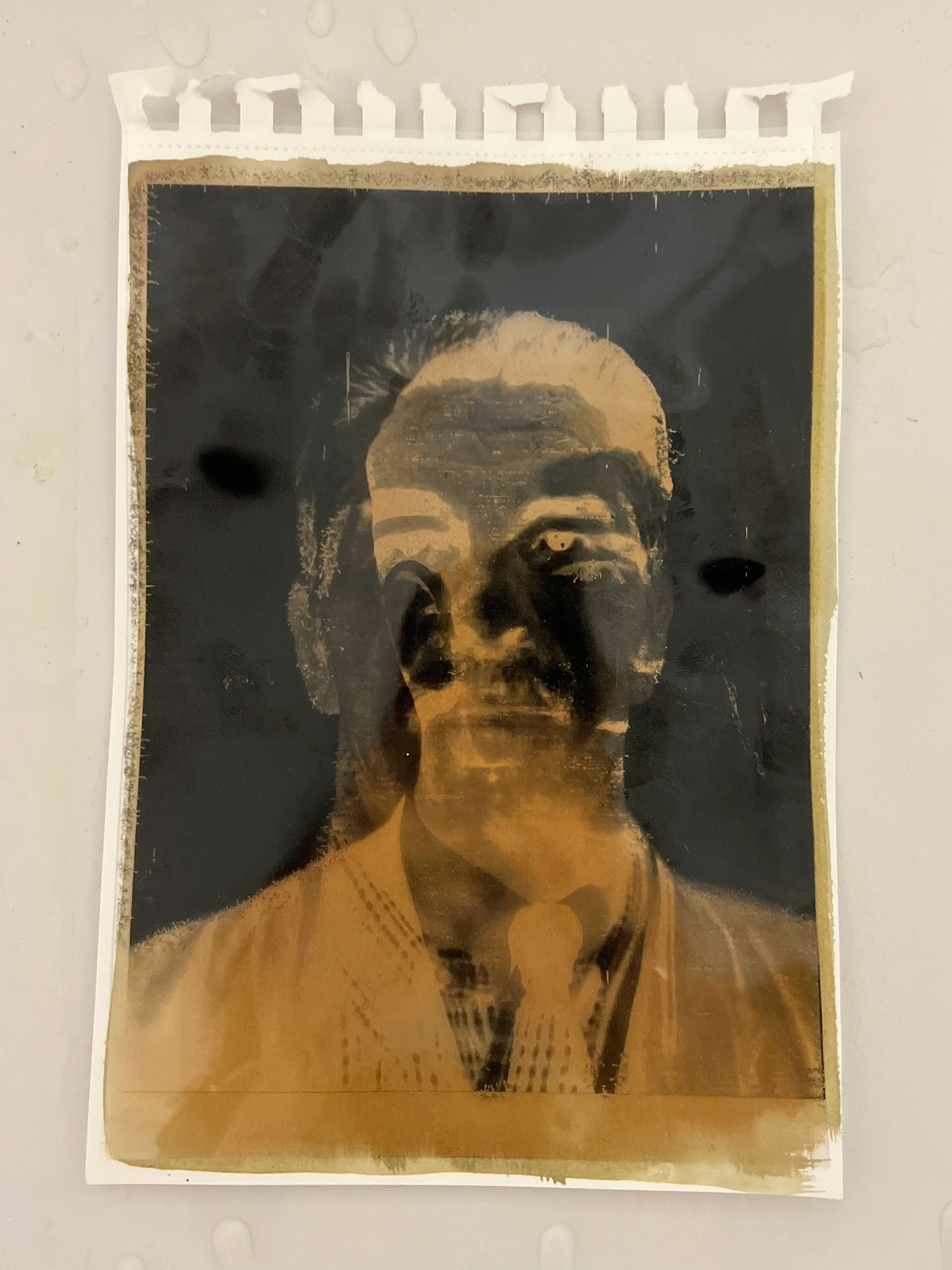 Castiglione. C (2024). Cyanotype development. 14.85 x 21cm