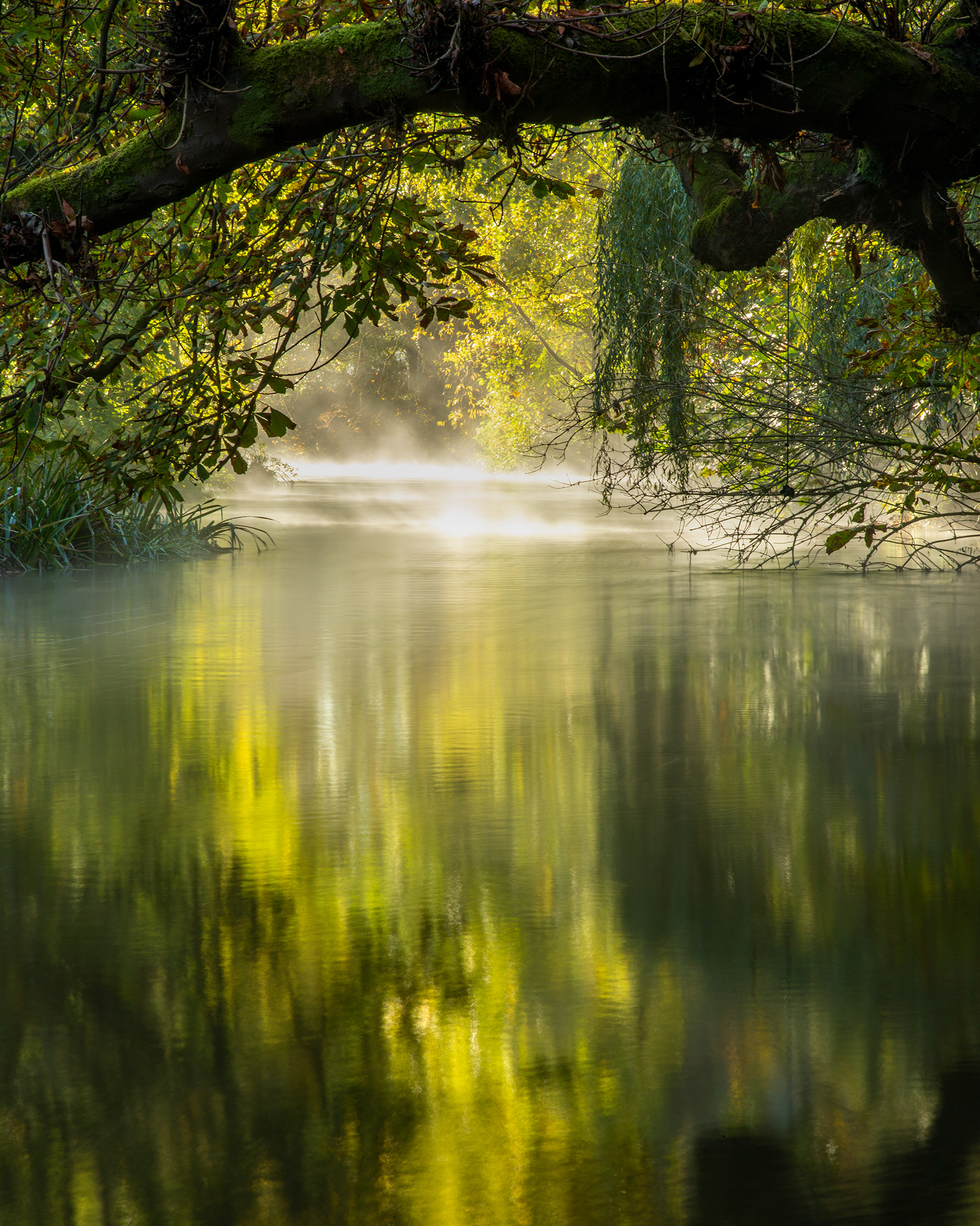 Stepping Stones - River Mole - Dorking