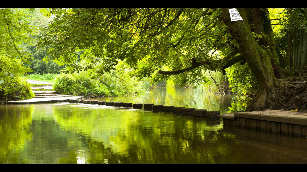 Stepping Stones - River Mole - Dorking