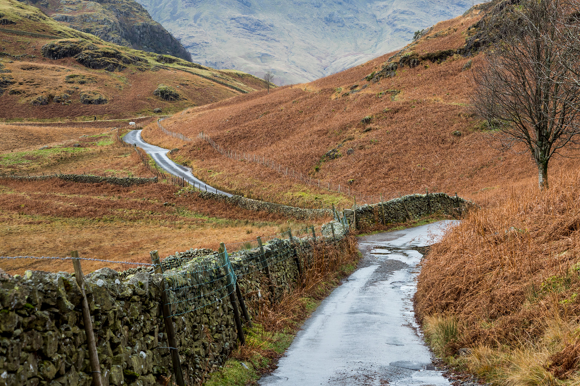 Langdales - Lake District