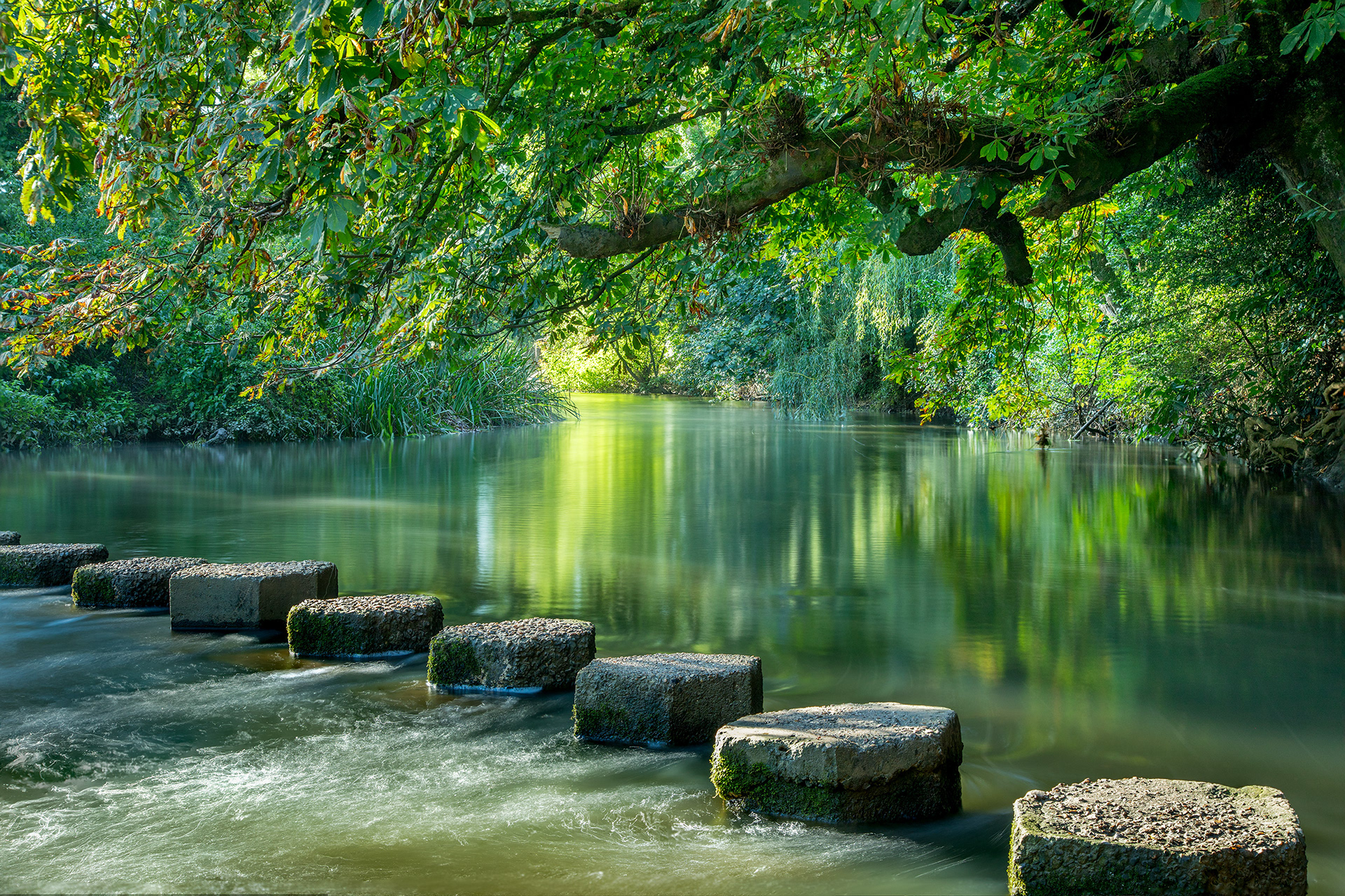 Stepping Stones - River Mole, Dorking, Surrey