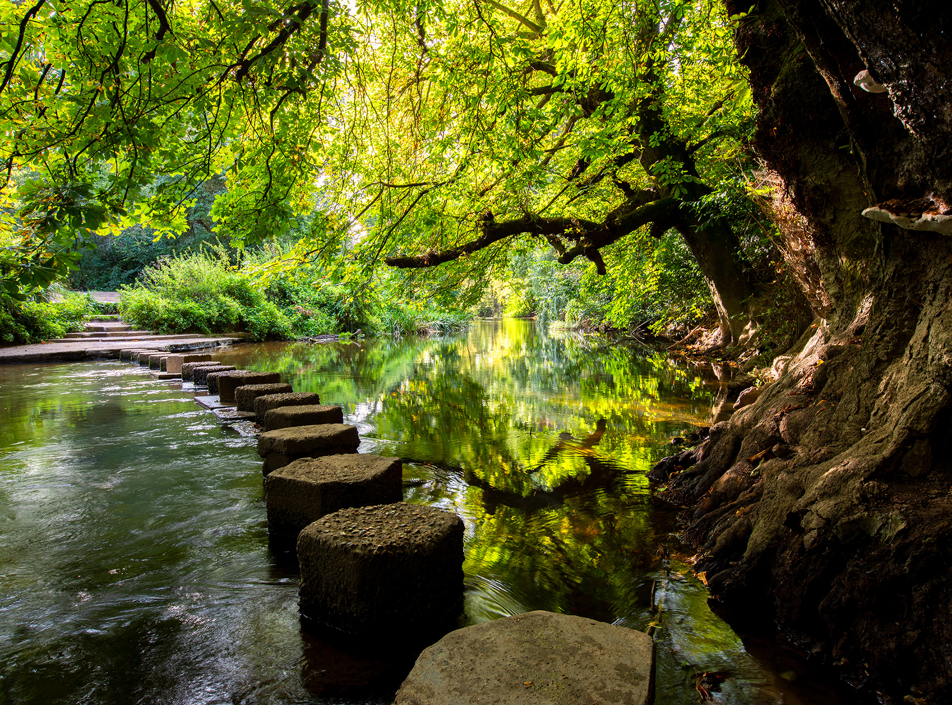 Stepping Stones - River Mole - Dorking
