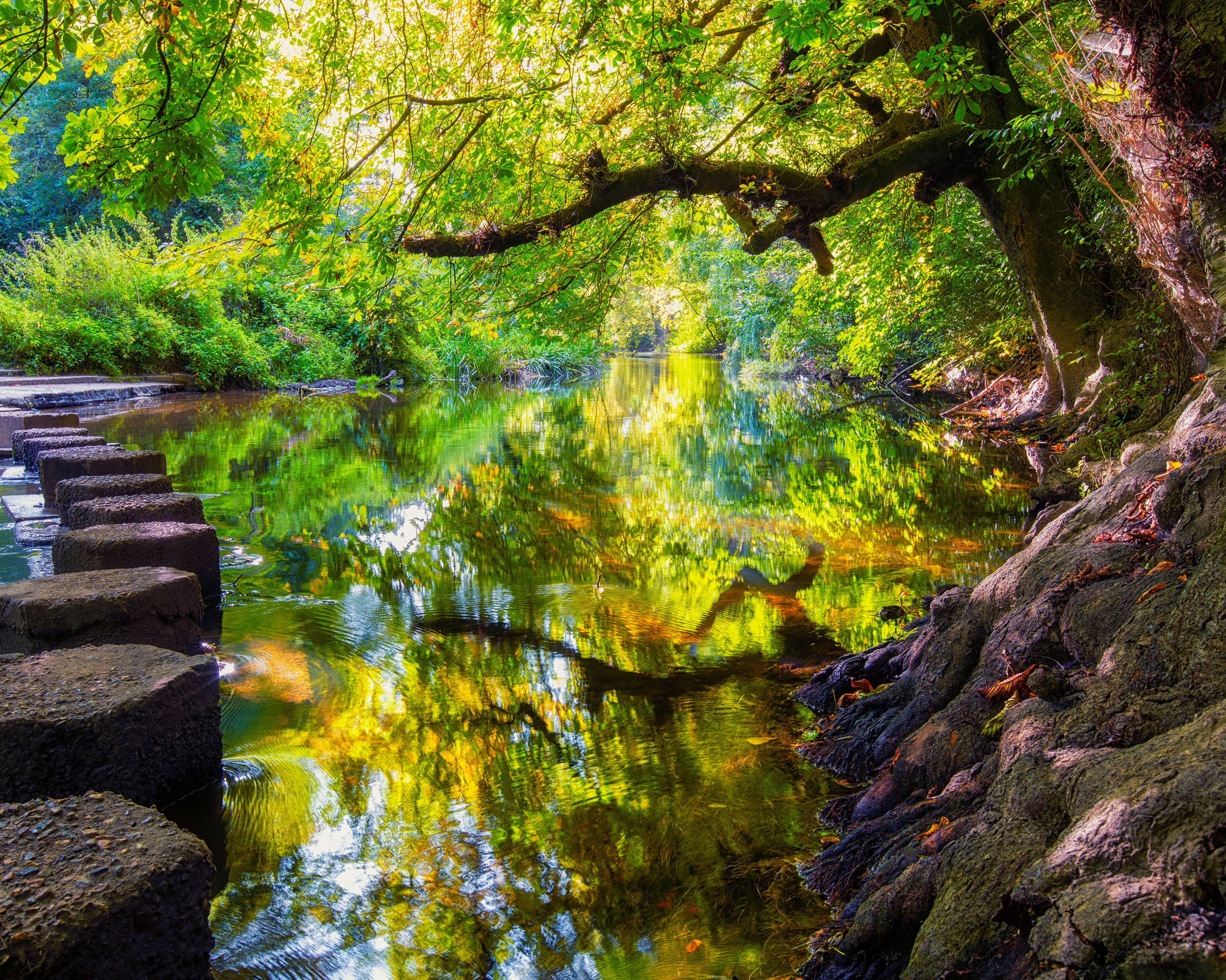 Stepping Stones - River Mole - Dorking