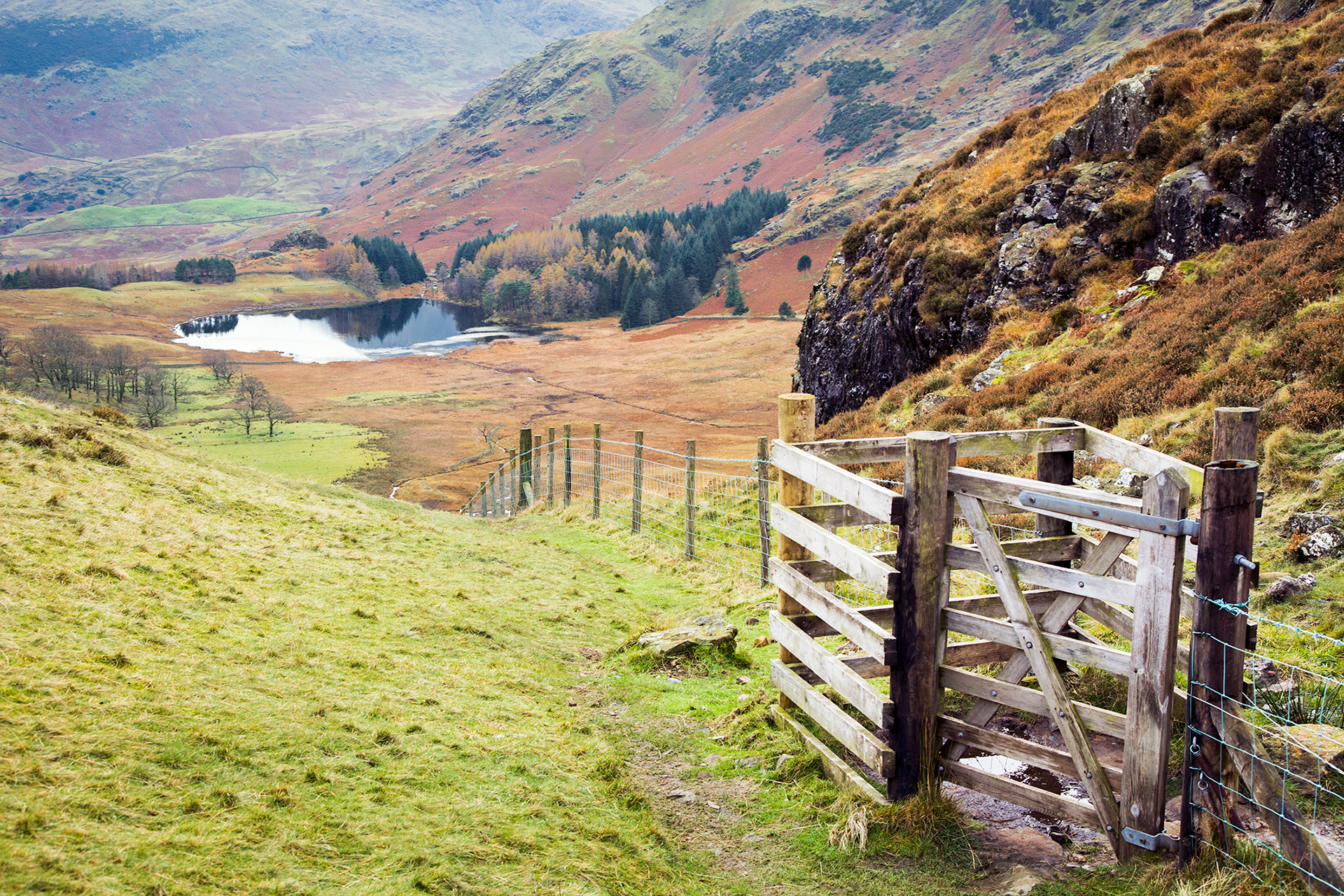 Blea Tarn - Langdales - Lake District
