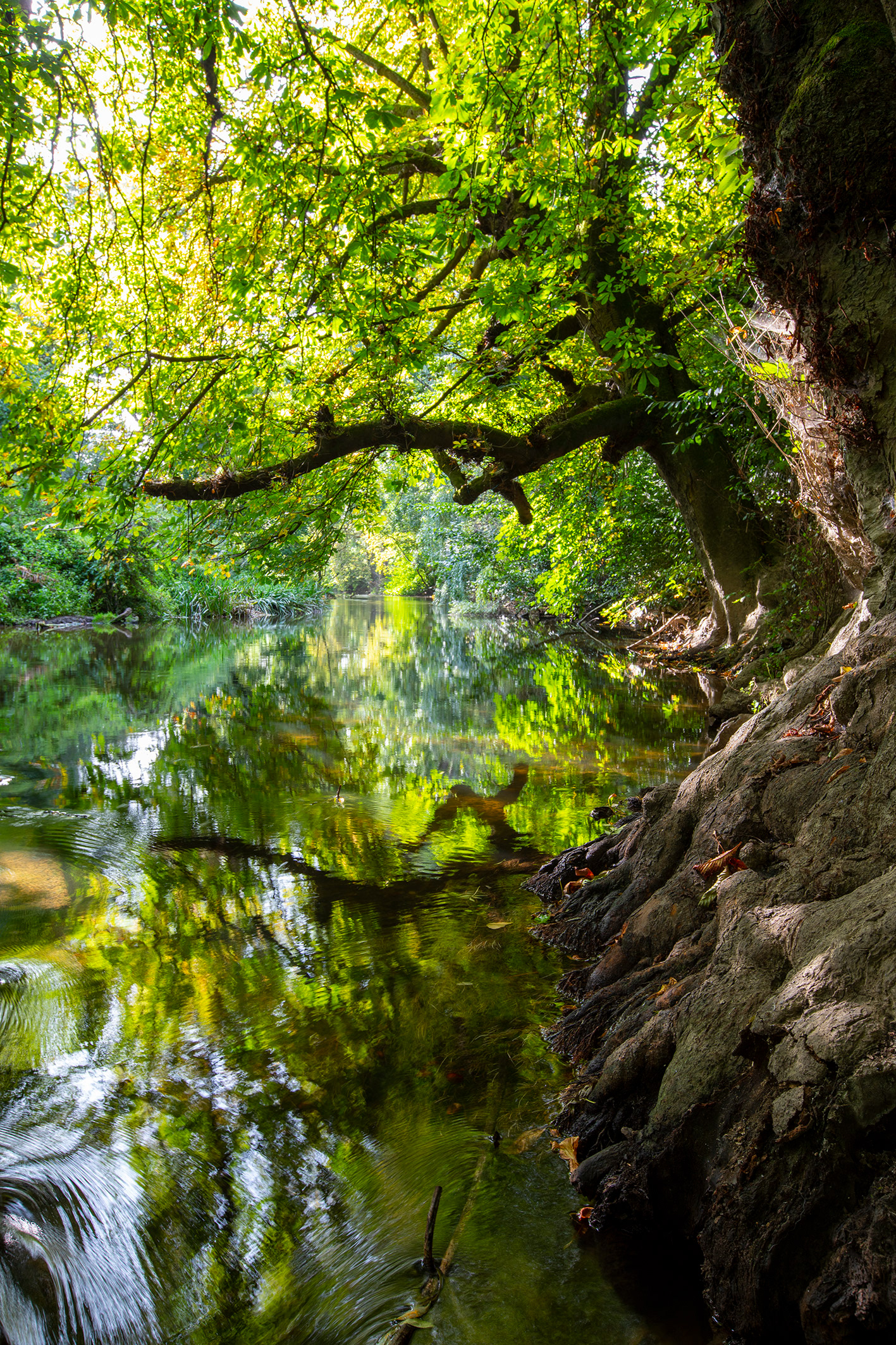 Stepping Stones - River Mole - Dorking