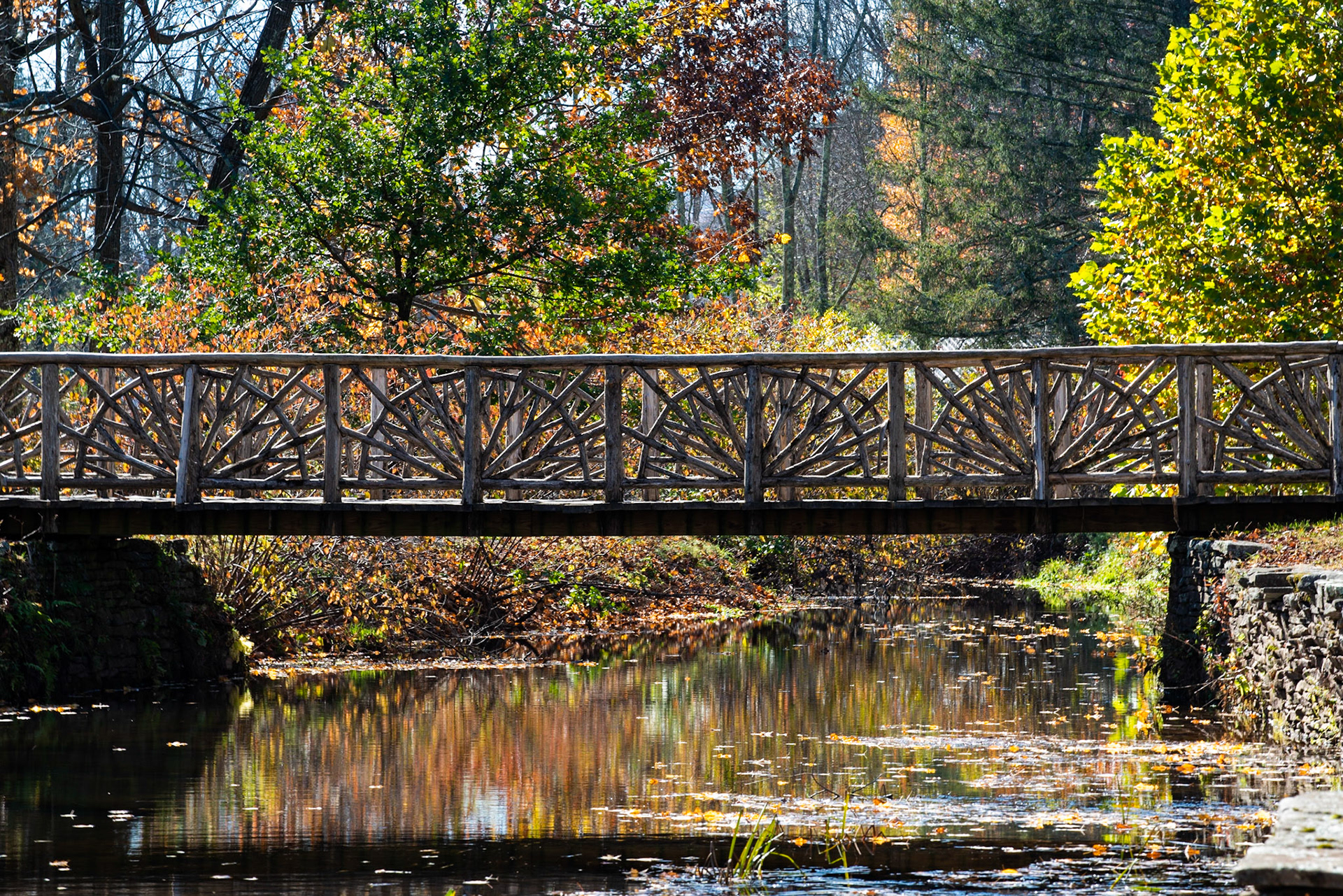 Bridge at Kirkside Park, 2020