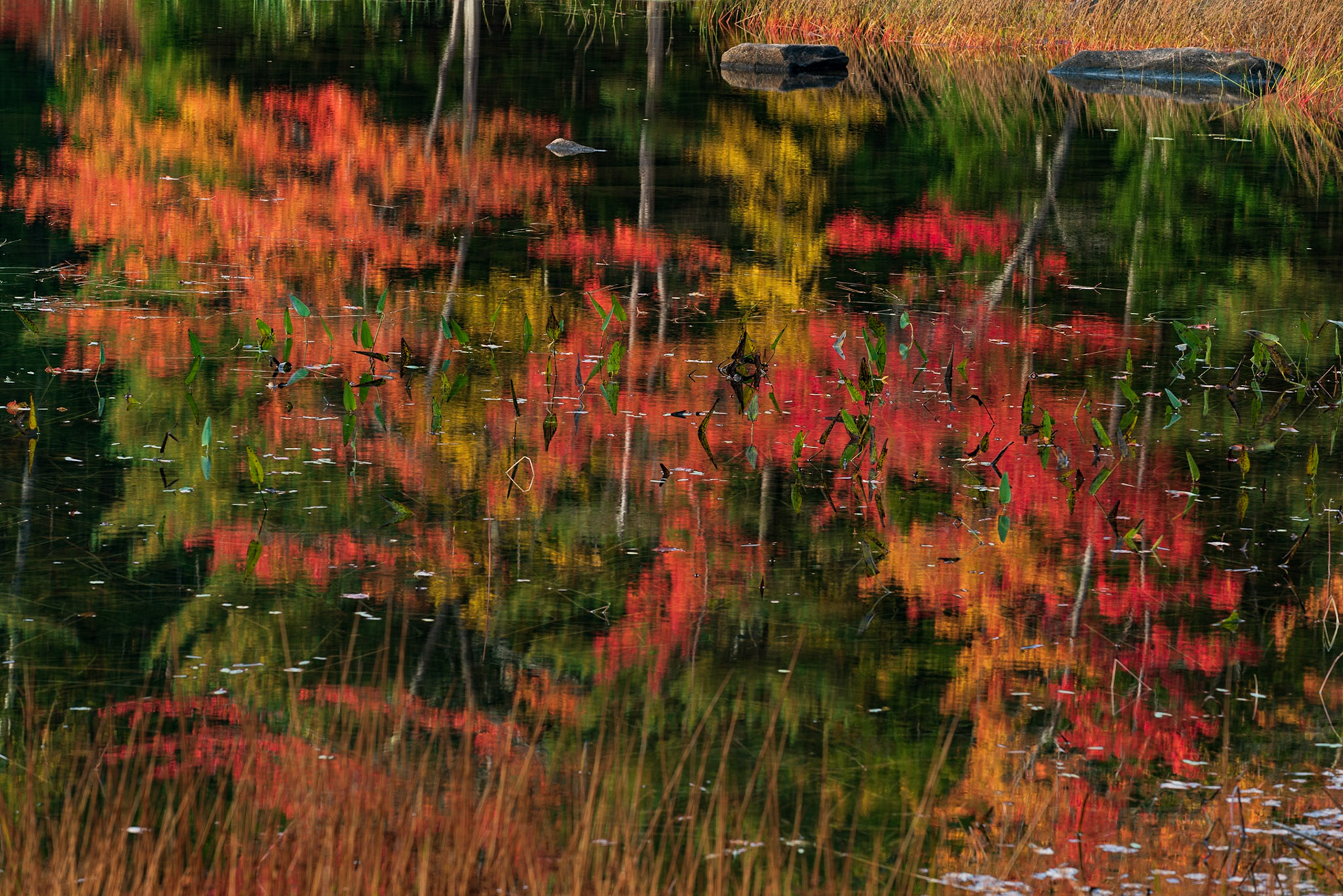 Eagle Lake Reflections