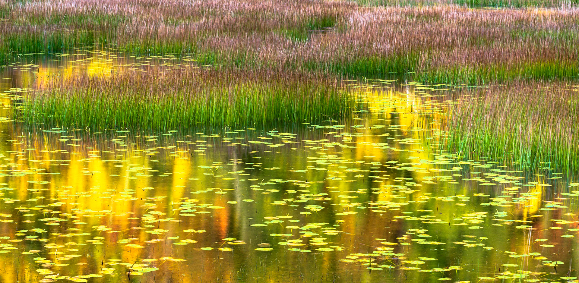The Tarns, Acadia NP 2019
