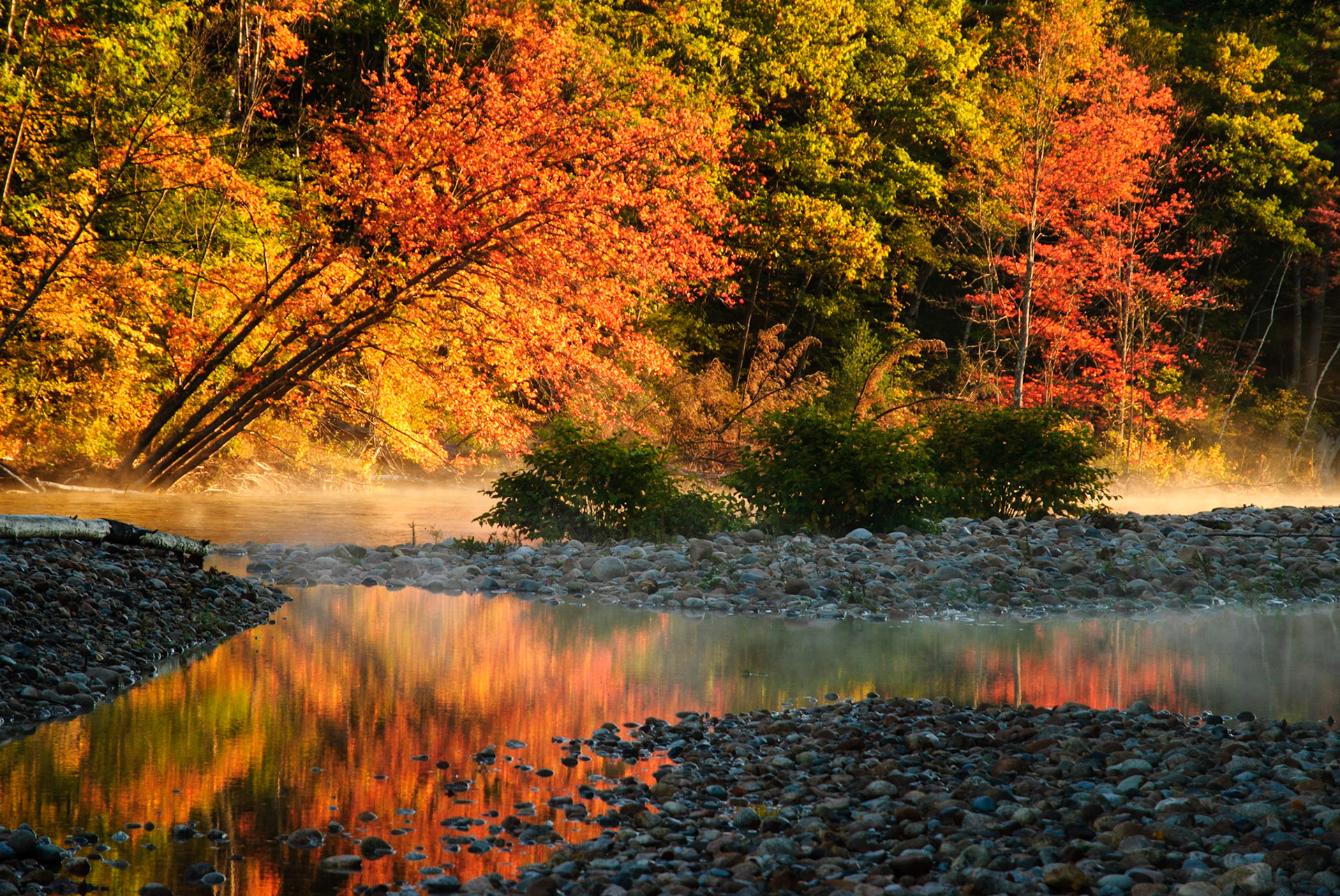 Autumn Explosion, White Mountains 2010