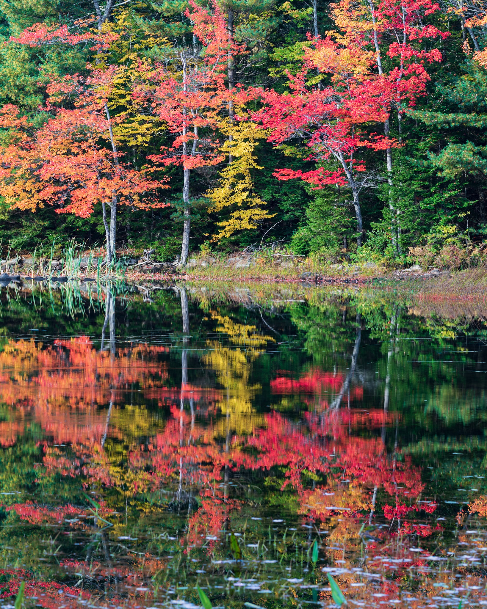 Eagle Lake Reflection