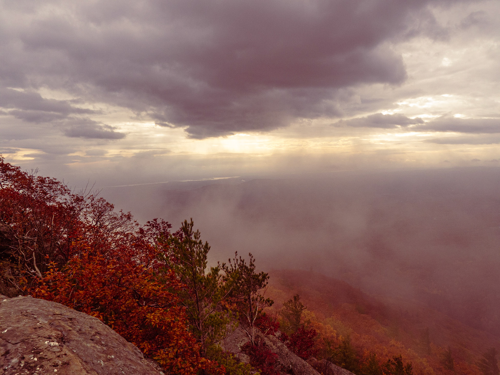 Light Breaking, Huckleberry Point 2020