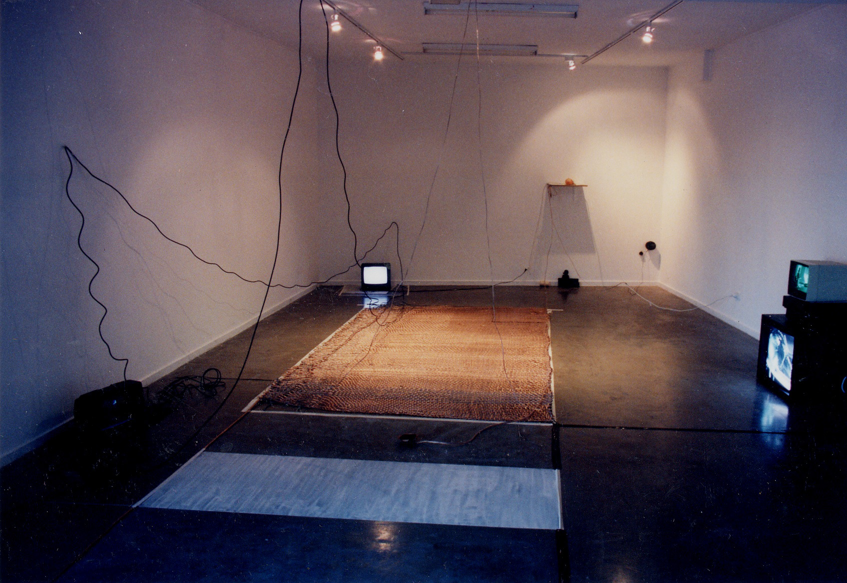 a mat woven from speaker wire, a self portrait in wax, video of the scultpure melting