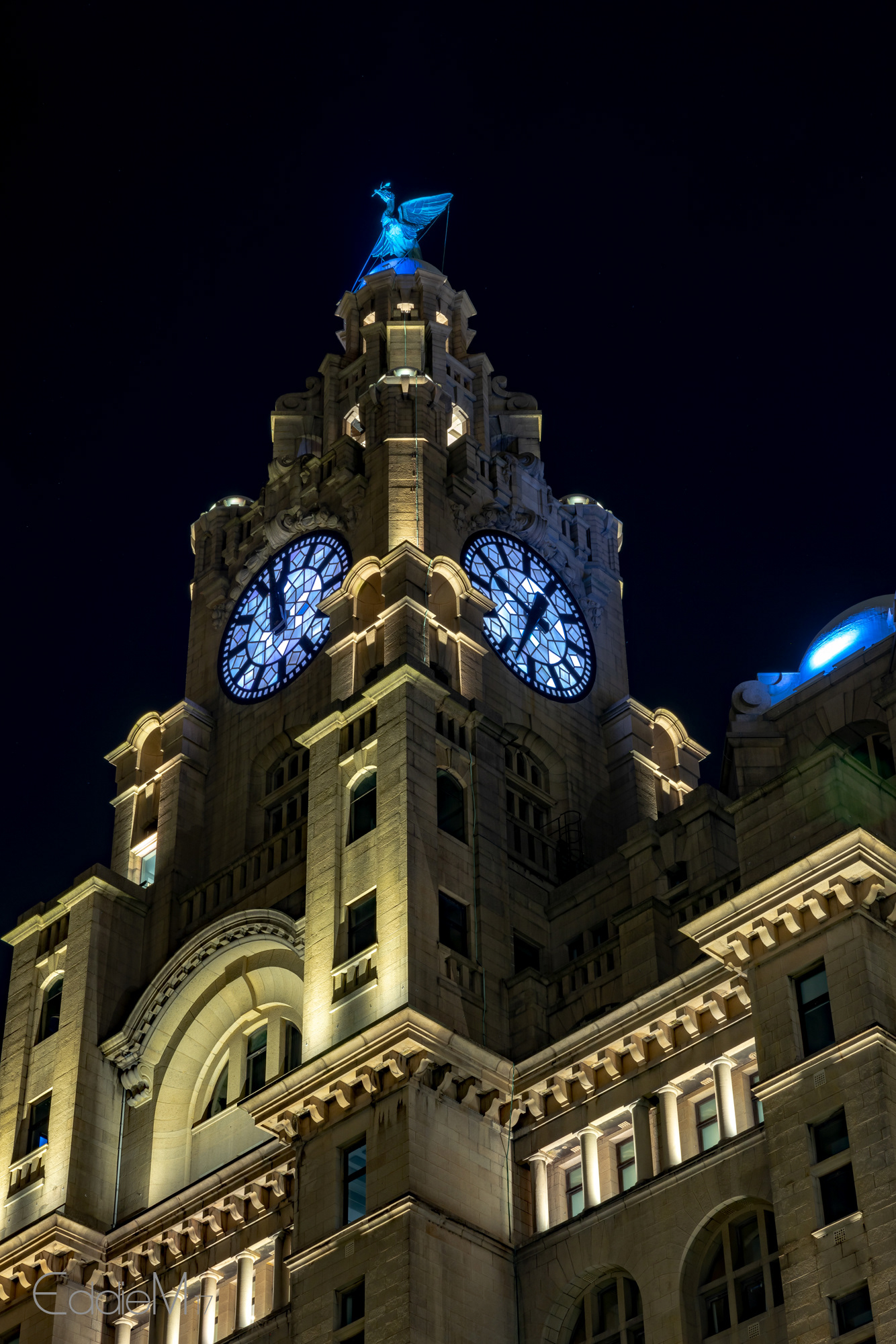 Liver Bird