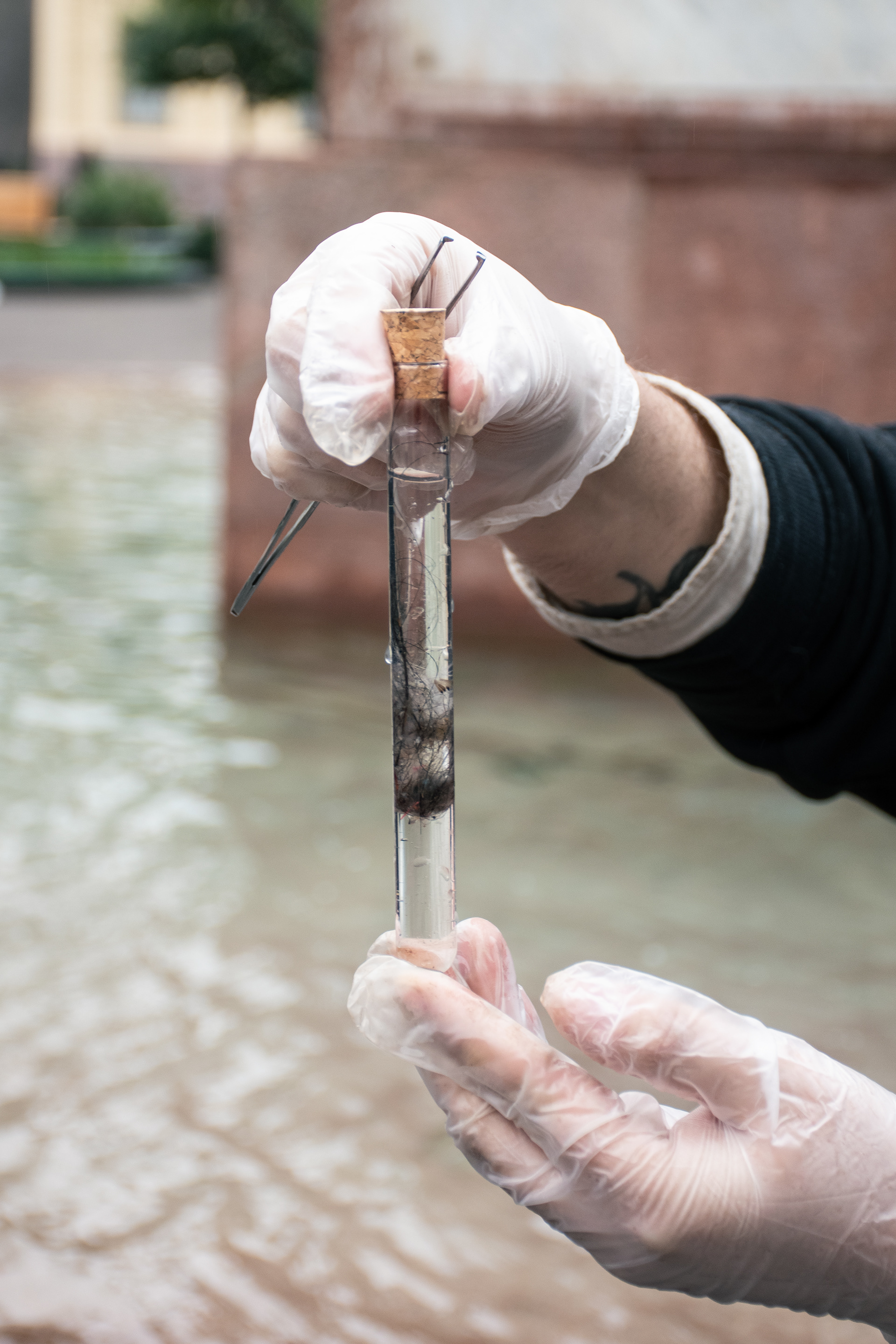 Devenir Cucaracha 2024 , Espacio 218,  Proceso