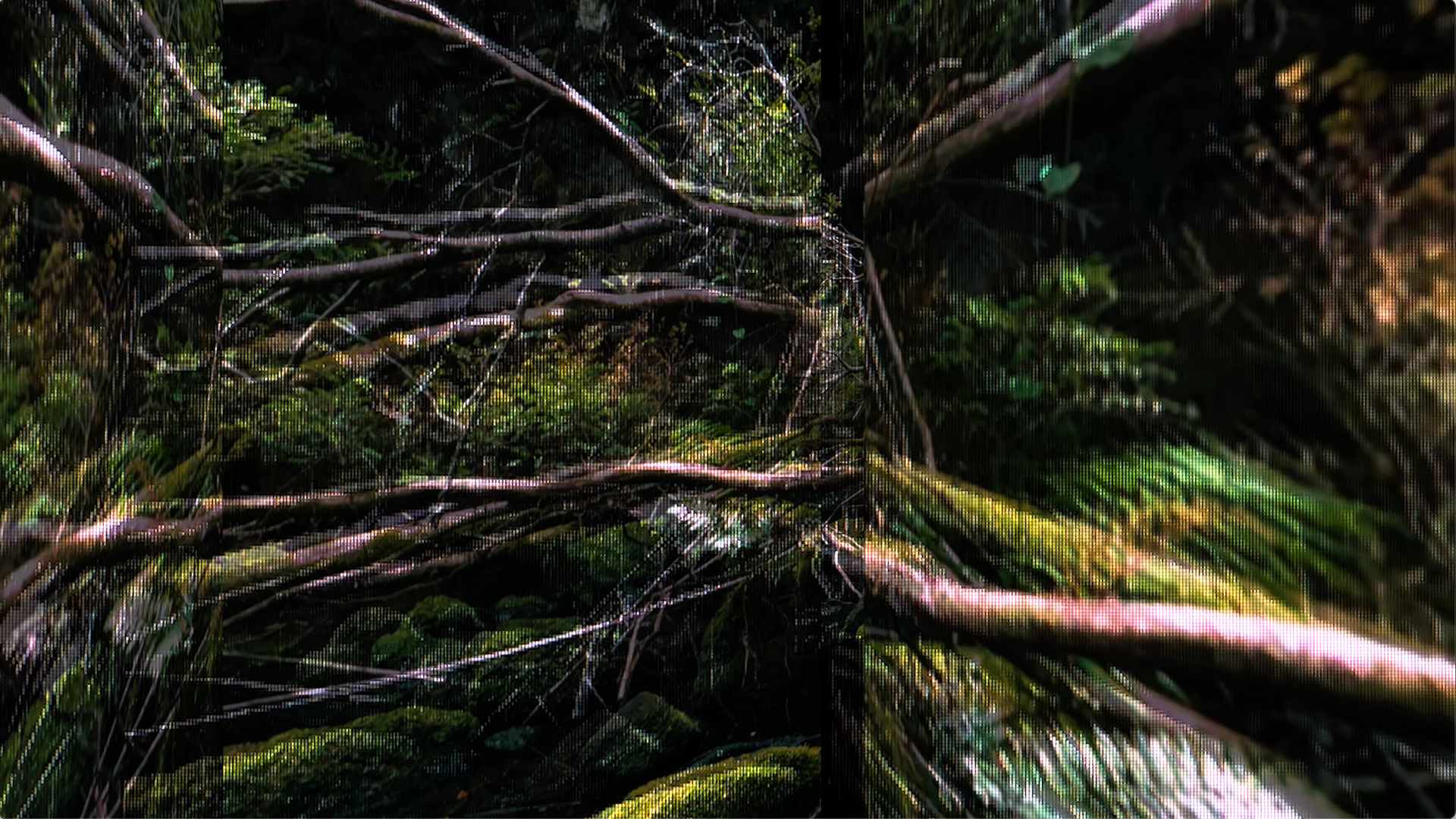 Videowalls (2021) - Still de video