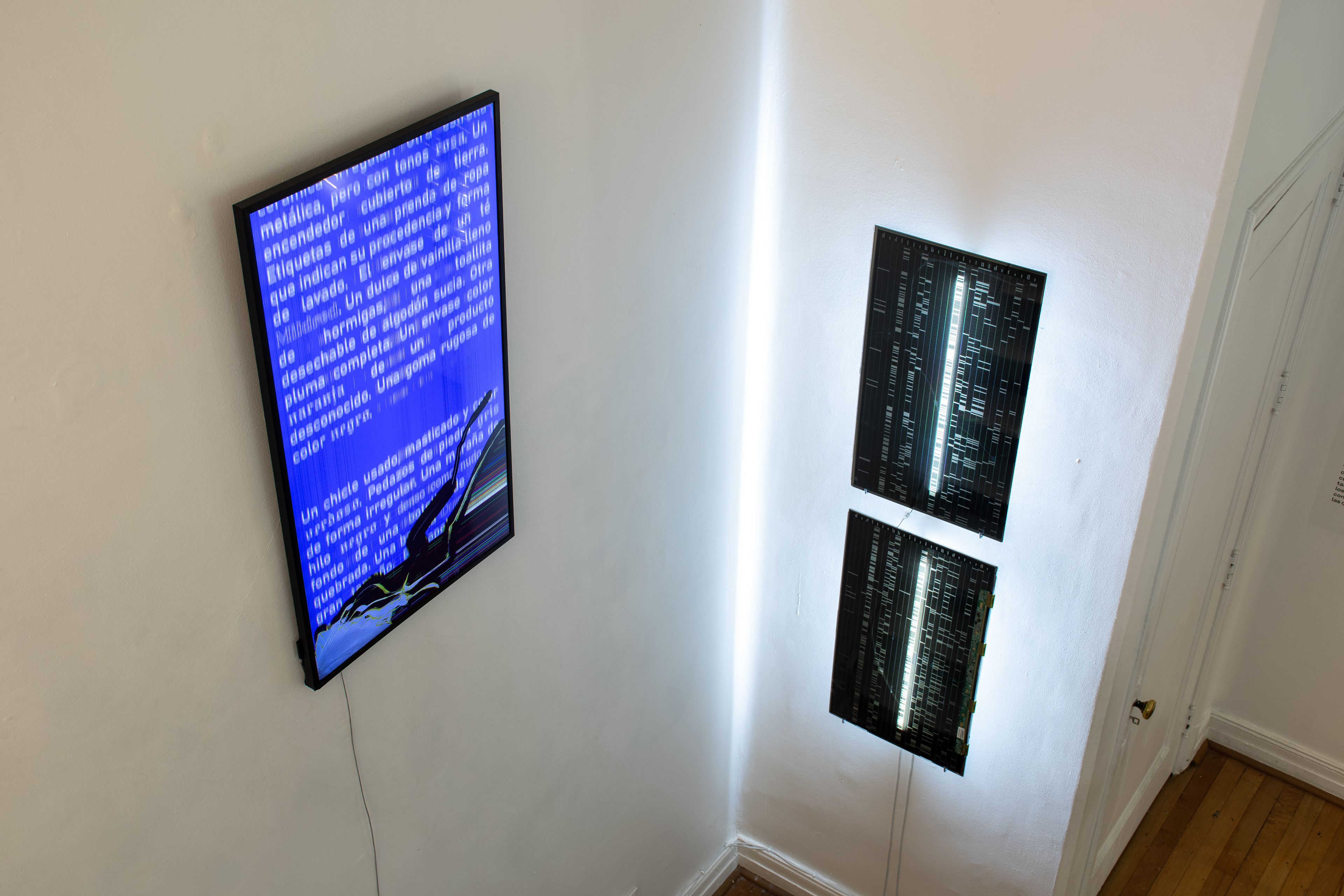 Devenir Cucaracha 2024 , Espacio 218,  Vista General