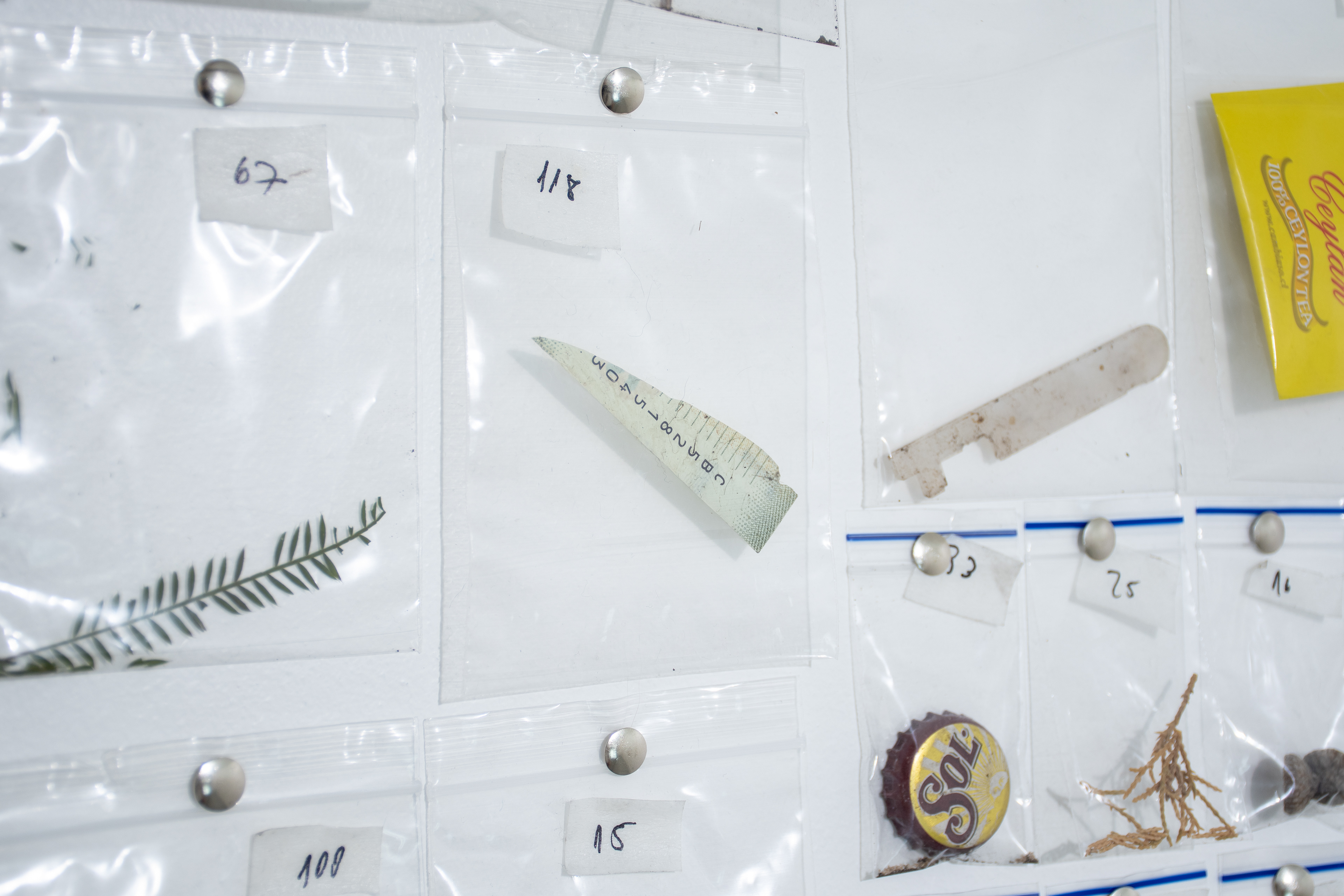 Devenir Cucaracha 2024 , Espacio 218,  Vista Detalle