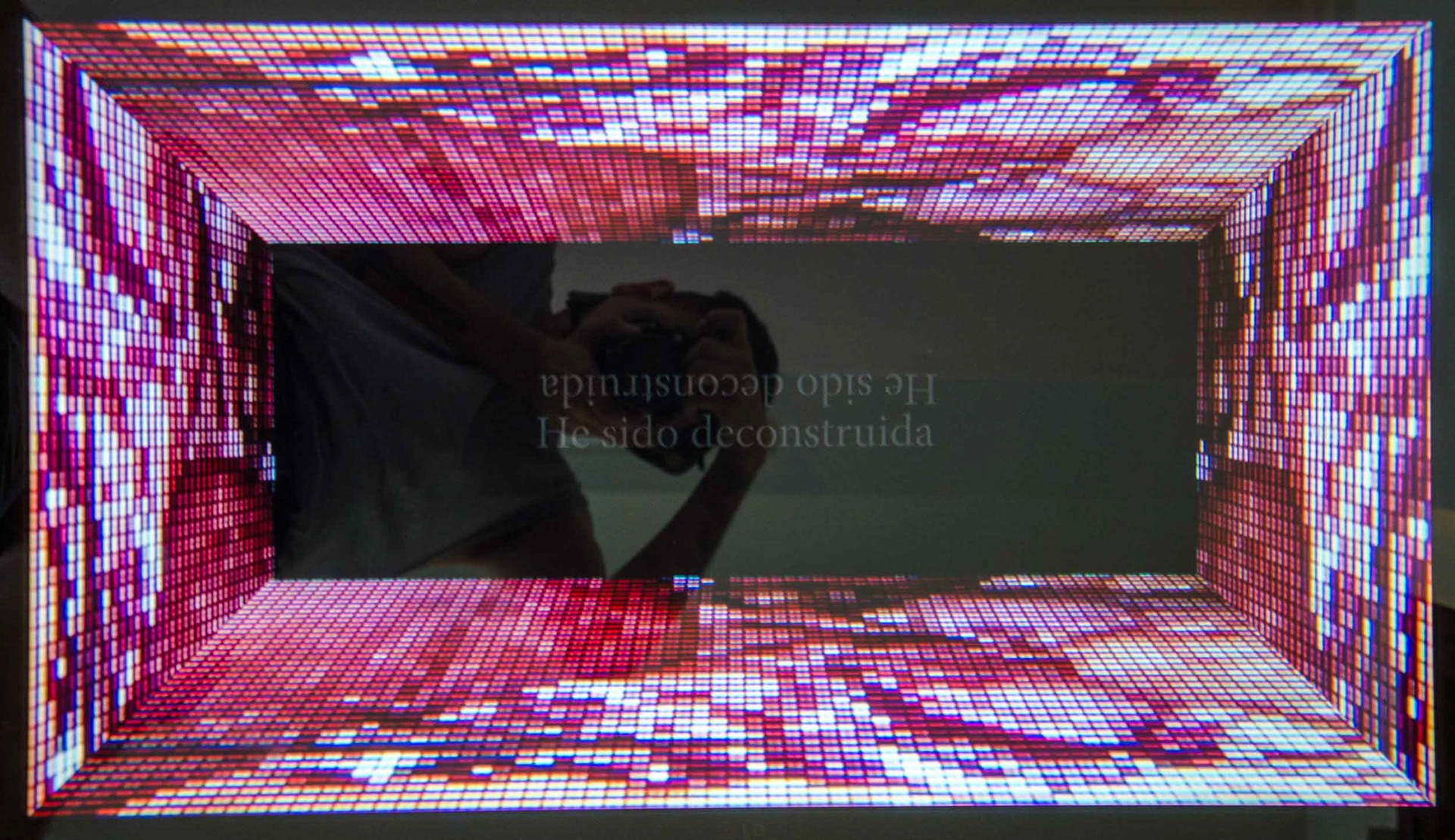 Fosa Común (2017) Registro fotográfico por Daniela Canales, en Galería Factoría Santa Rosa (2018)