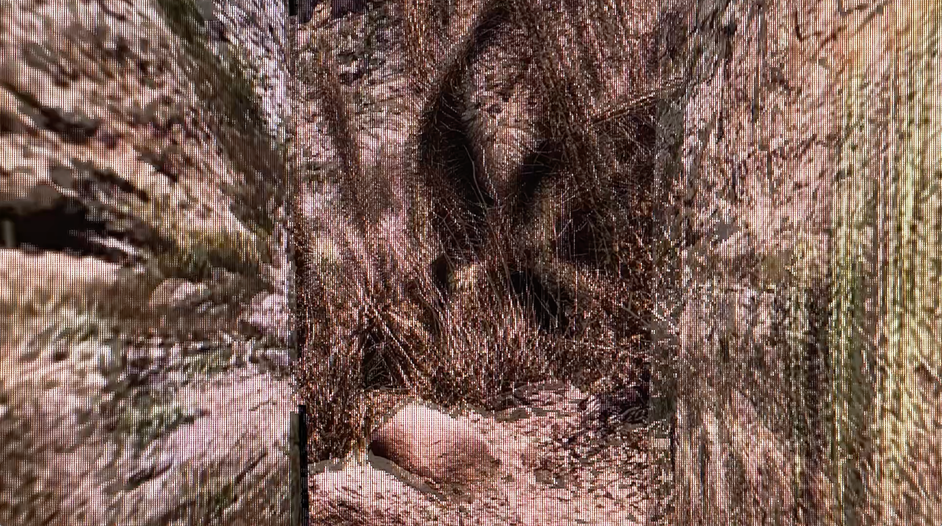 Videowalls (2021) - Still de video