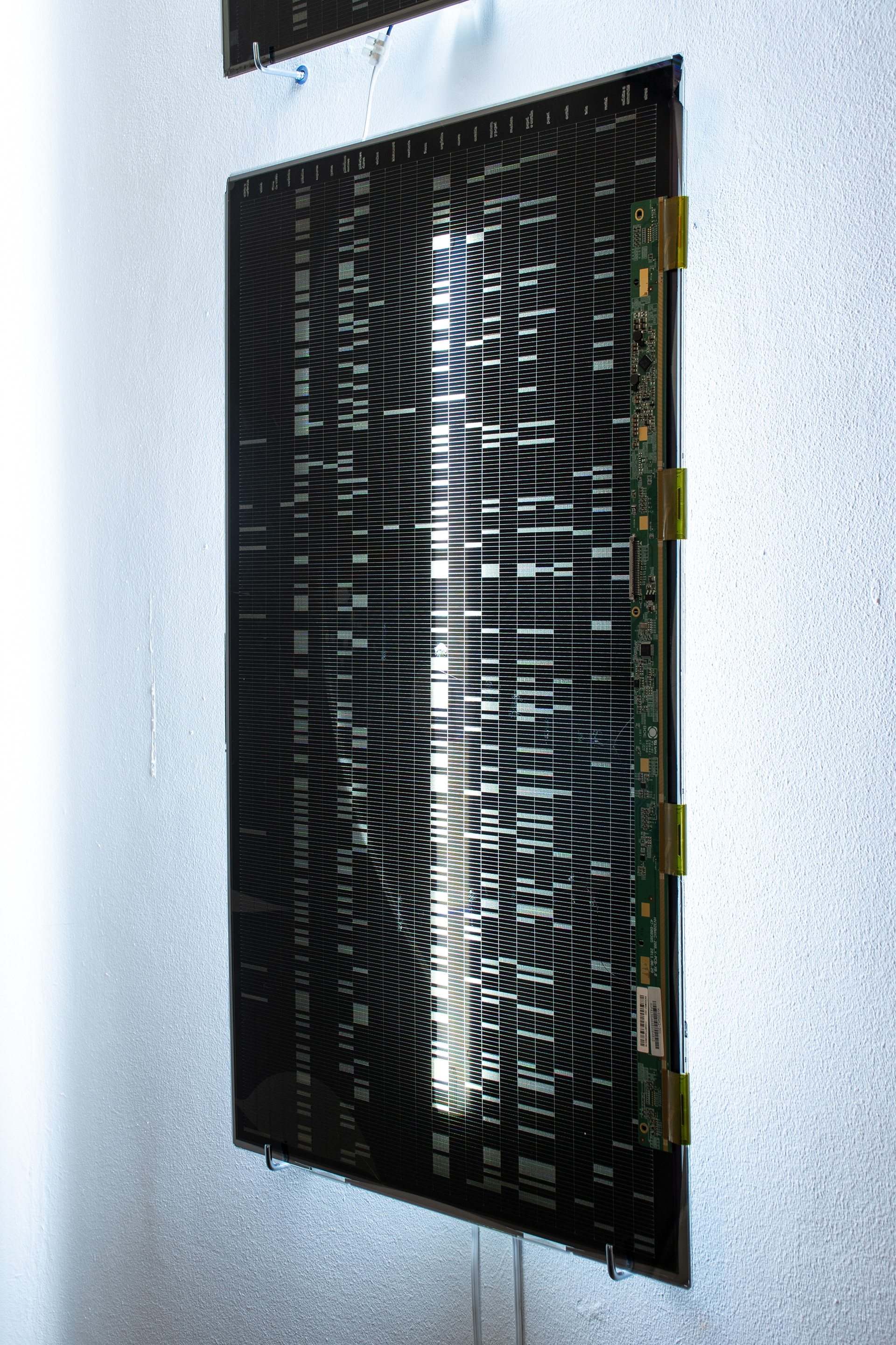 Taxonomía de lo que sobra Instalación, Grabado laser sobre pantalla plana