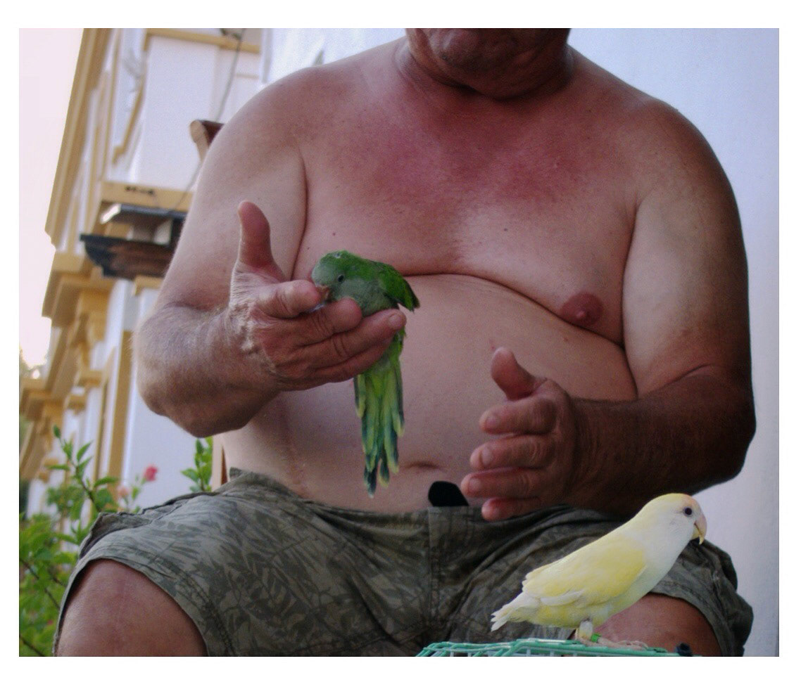 I love animals by Naikari Díaz