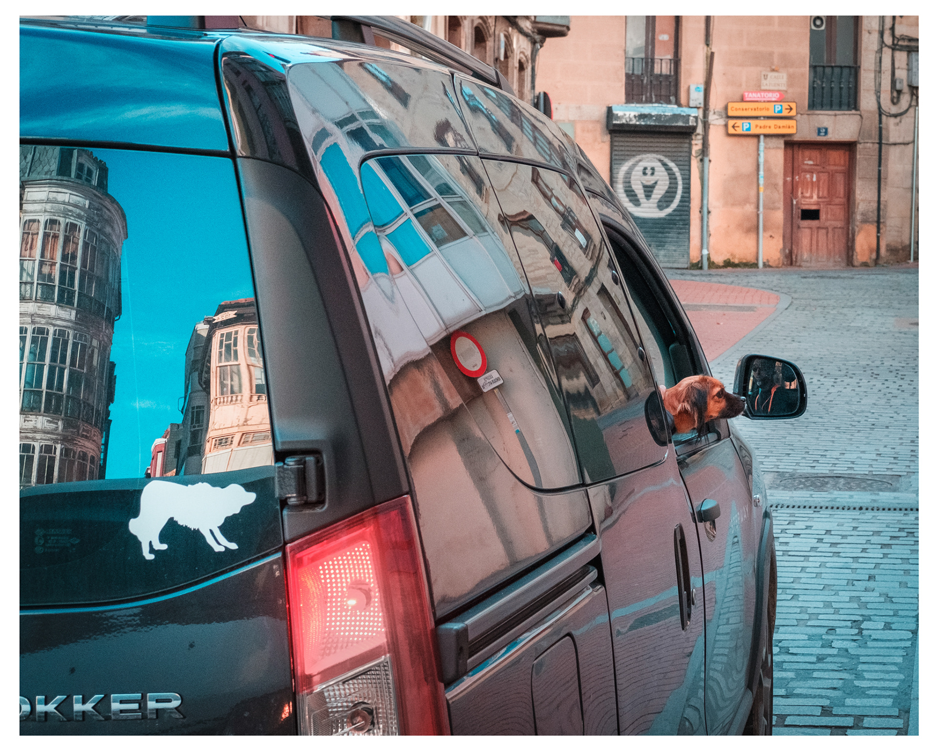 I love animals by Naikari Díaz