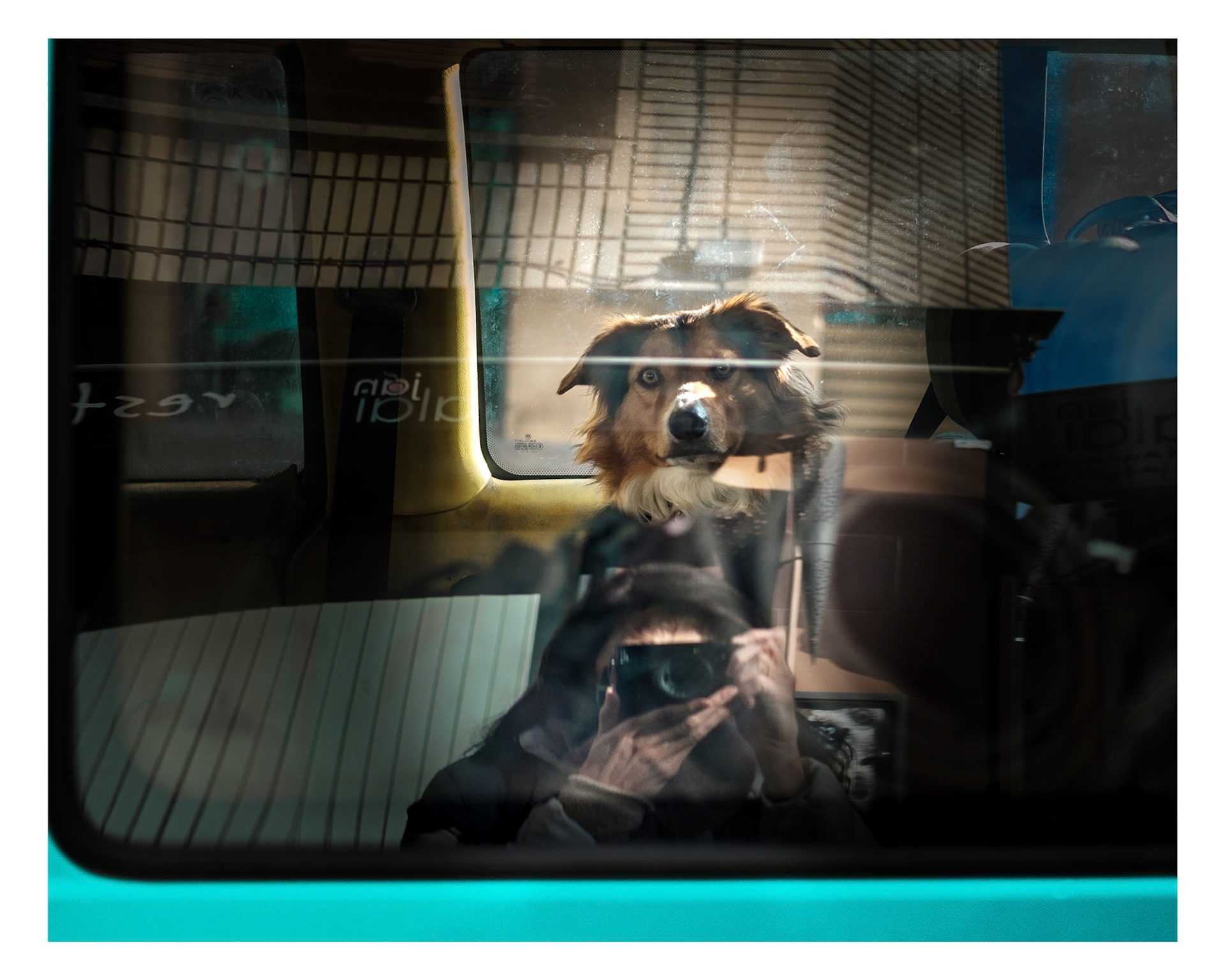 I love animals by Naikari Díaz