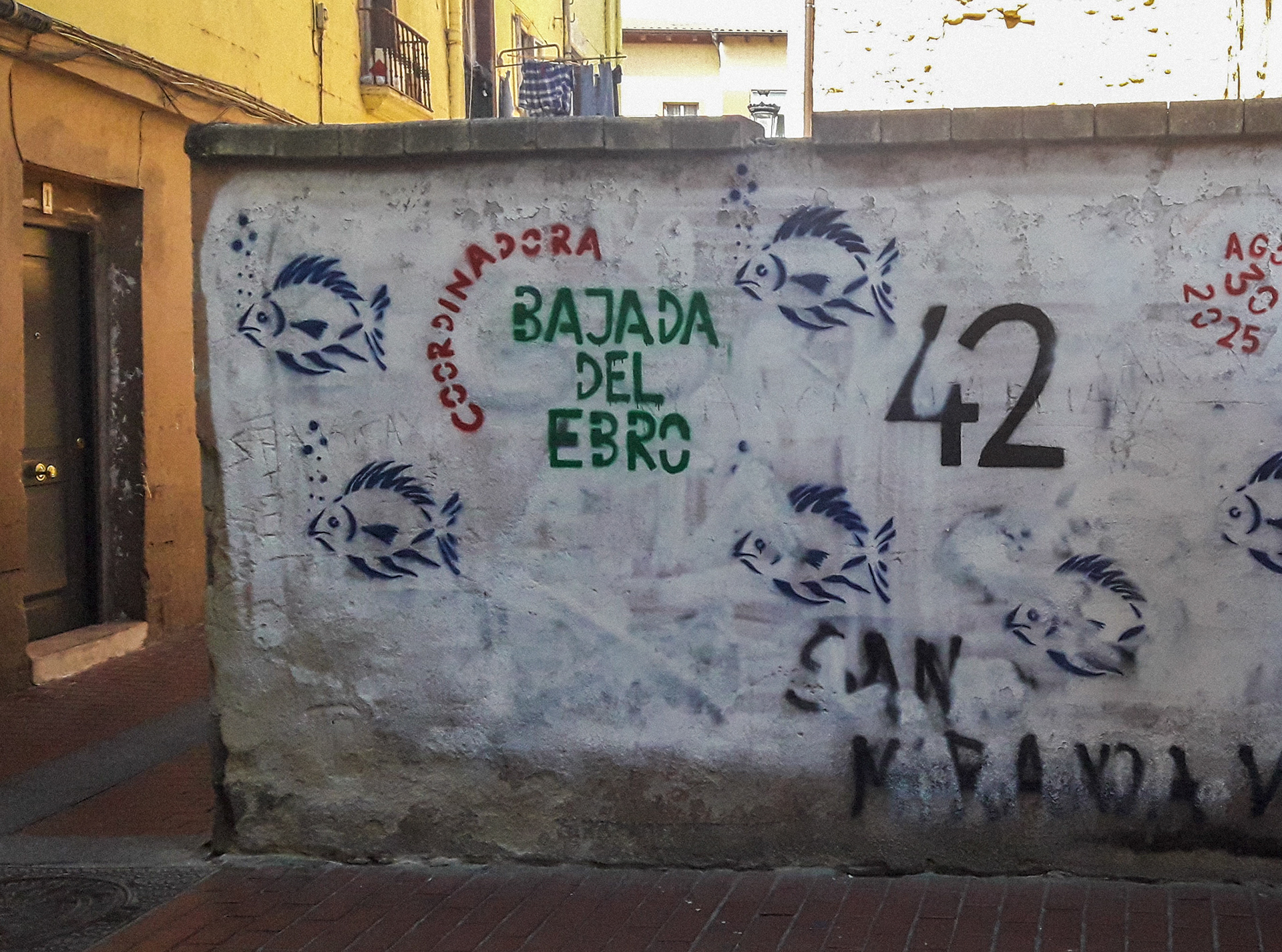 Bajada del Ebro 2025