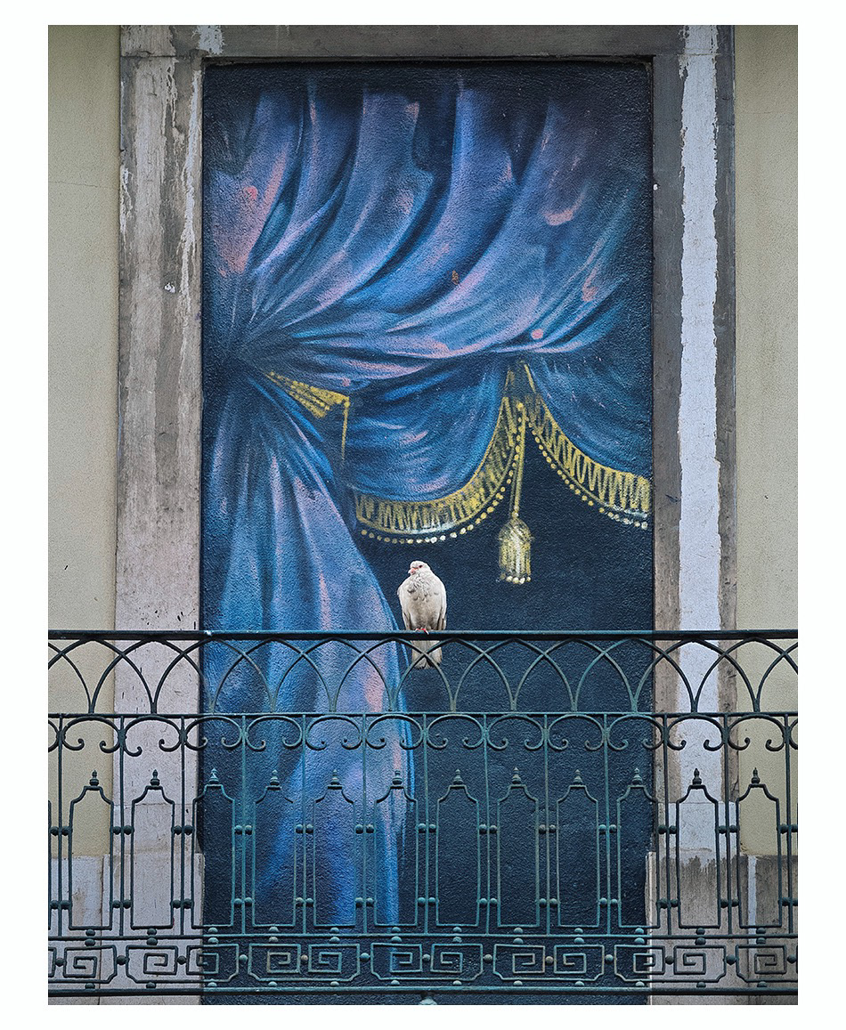 I love animals by Naikari Díaz