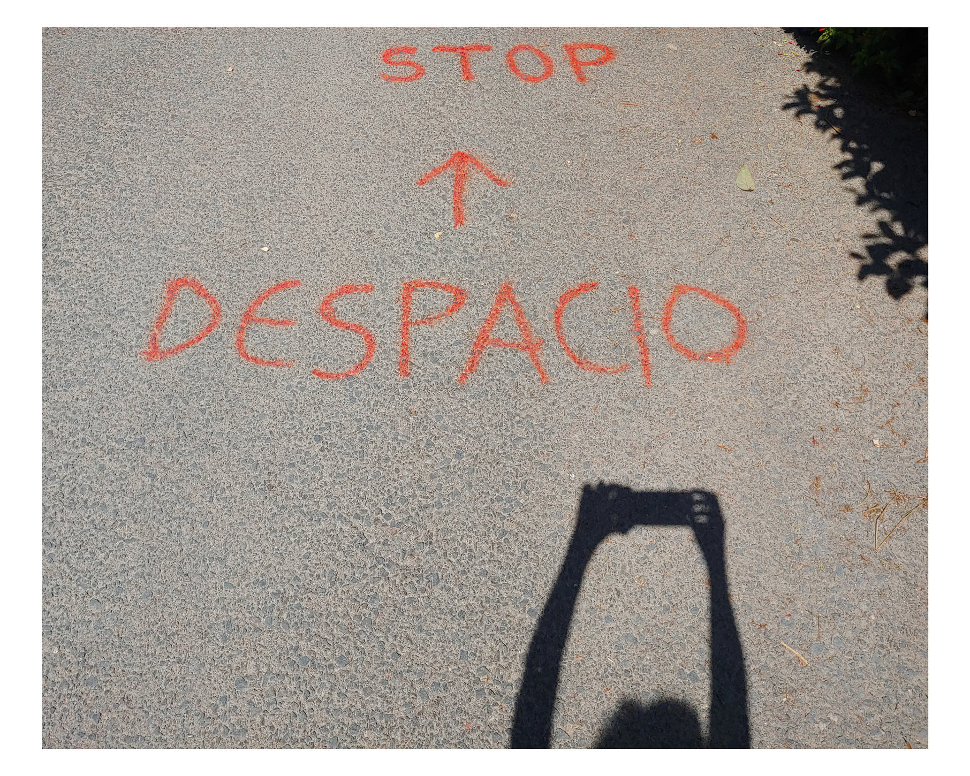Pintadas y paredes