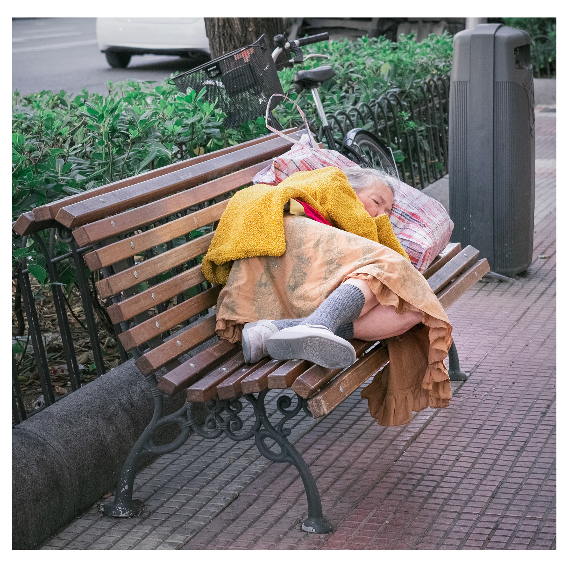 Basic Income