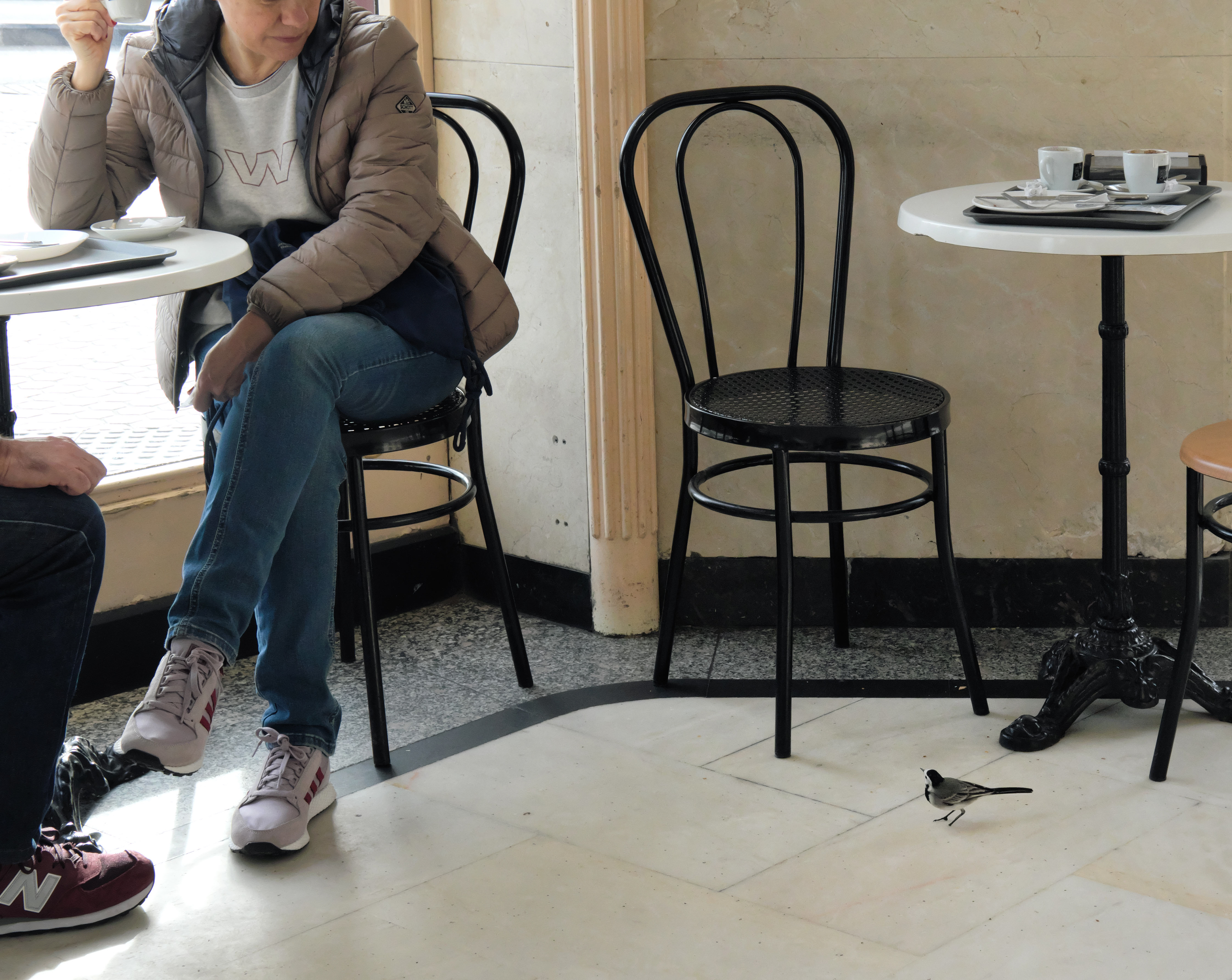 I love animals by Naikari Díaz