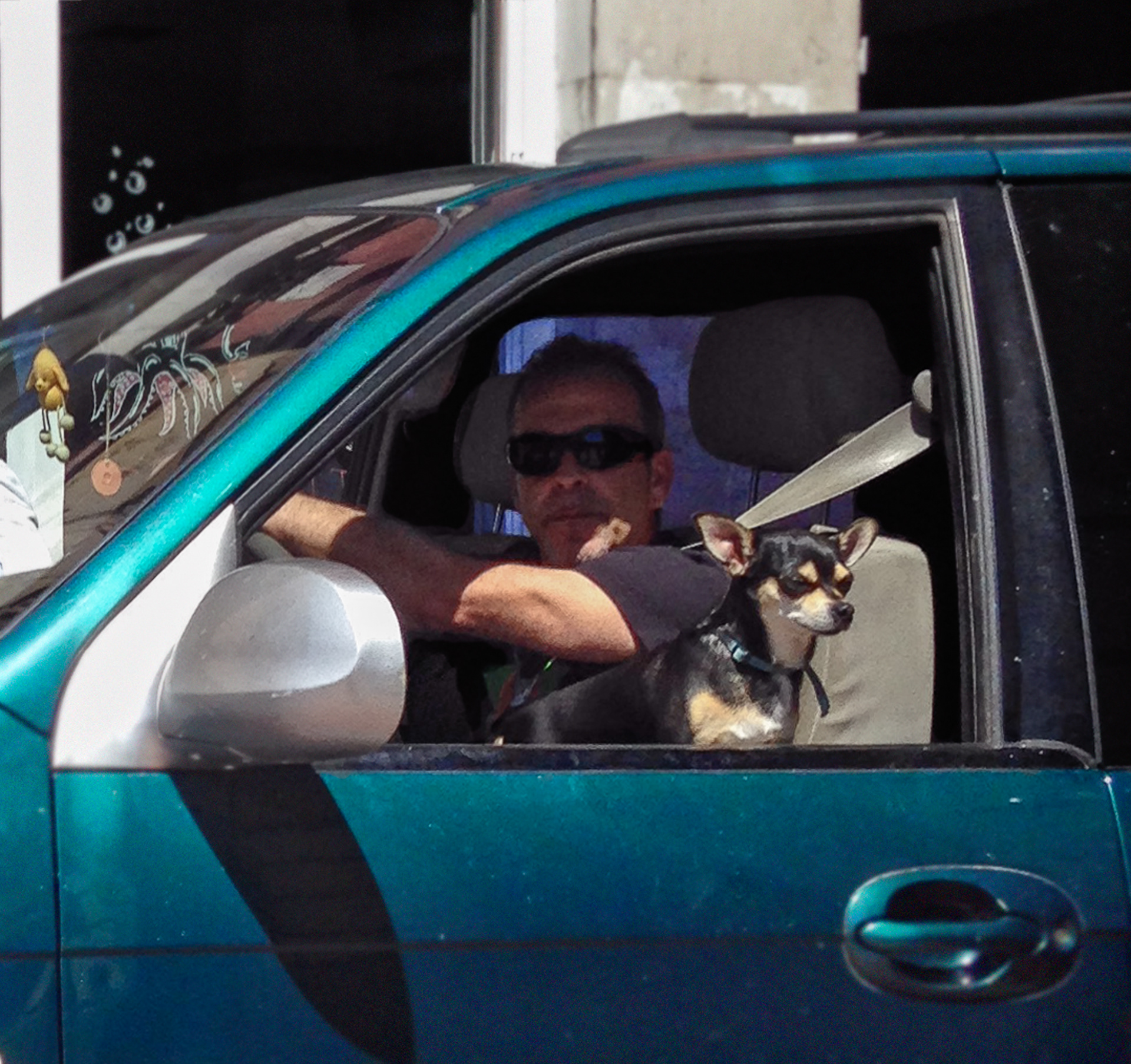 I love animals by Naikari Díaz