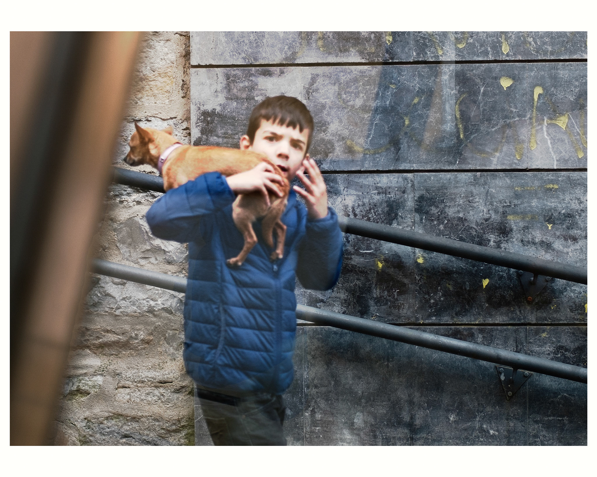 I love animals by Naikari Díaz