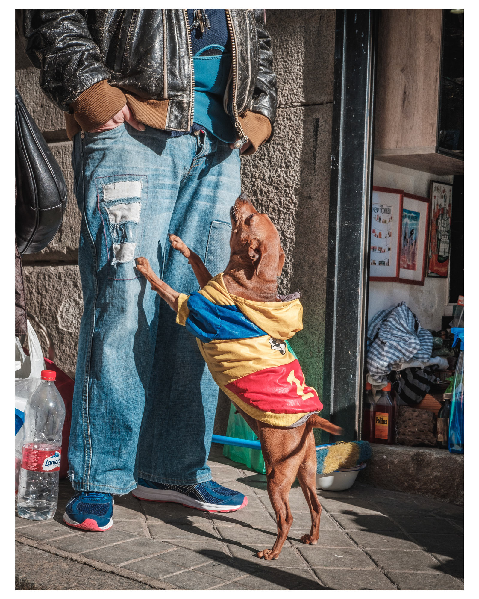 I love animals by Naikari Díaz