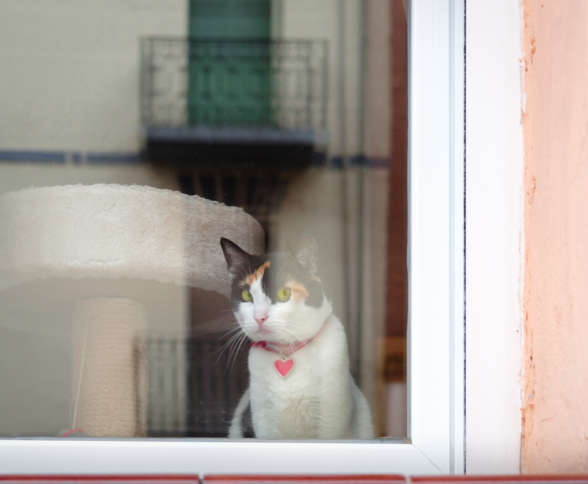 I love animals by Naikari Díaz