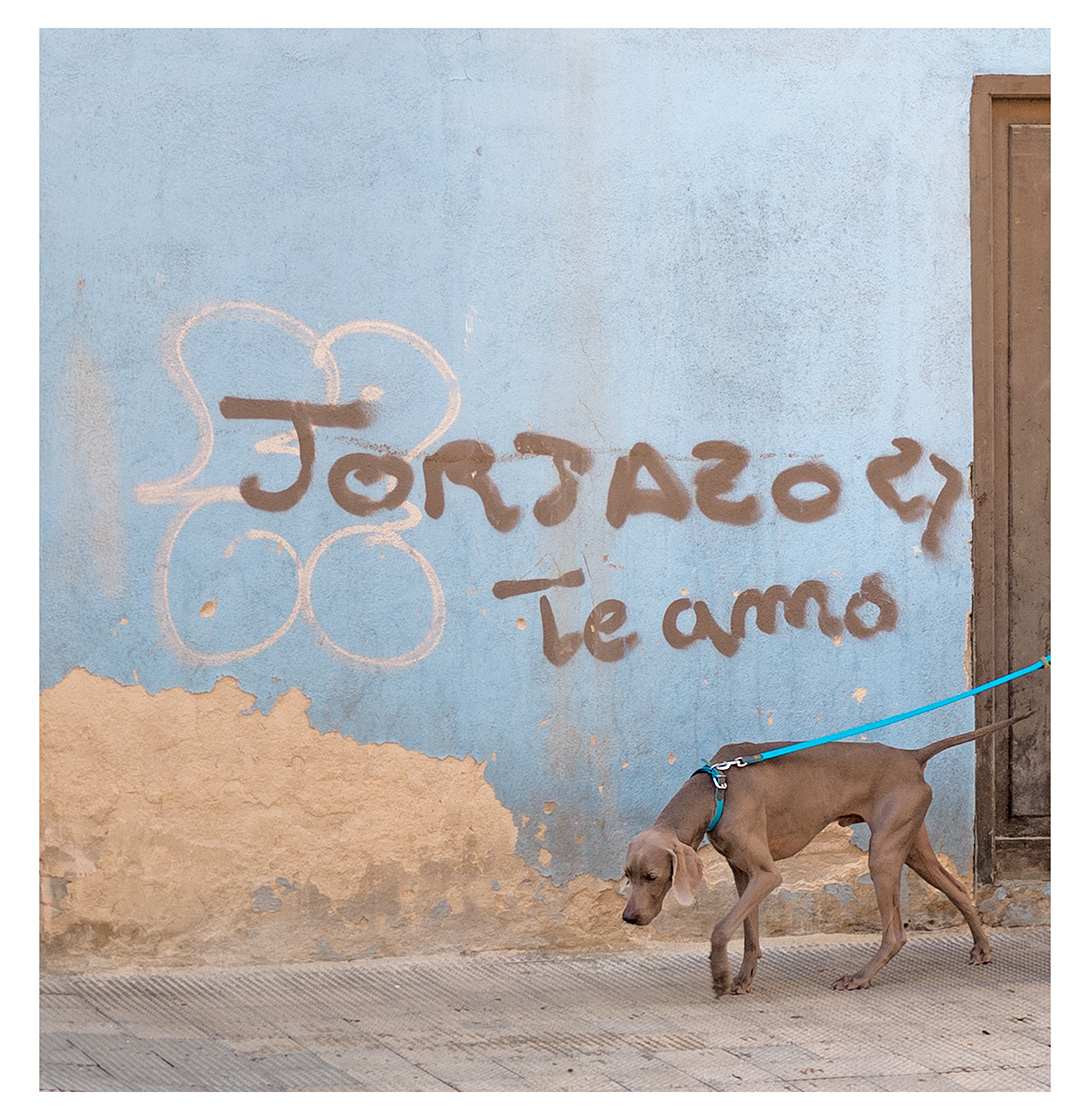 I love animals by Naikari Díaz