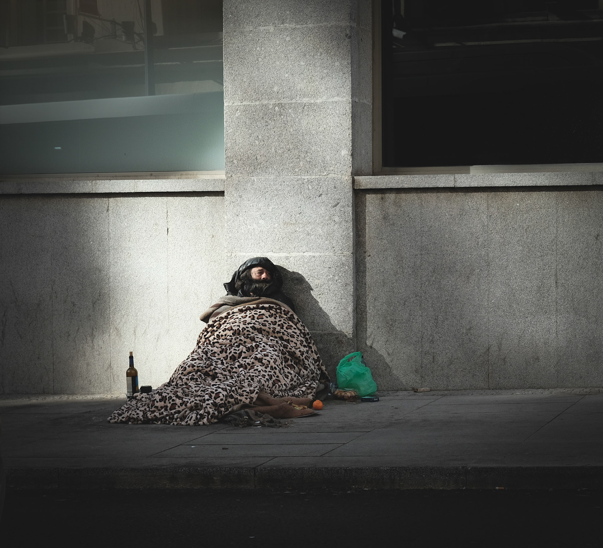 Basic Income