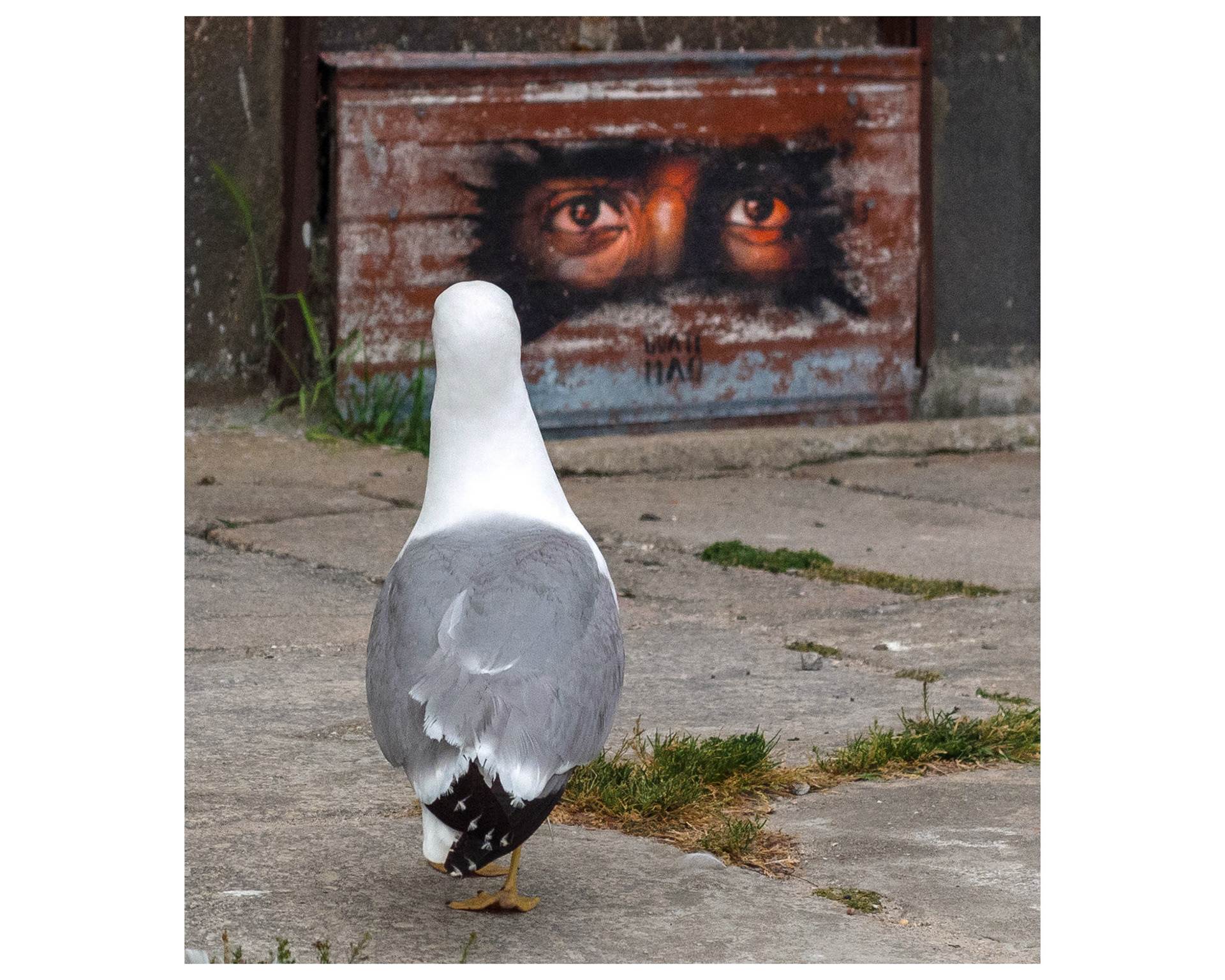 I love animals by Naikari Díaz